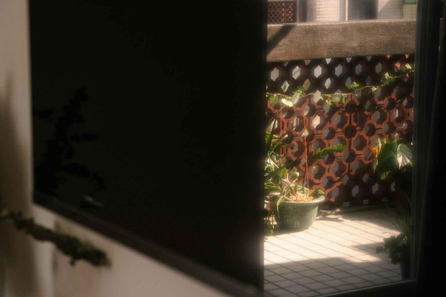 Vista di un balcone con piante visto attraverso una porta aperta