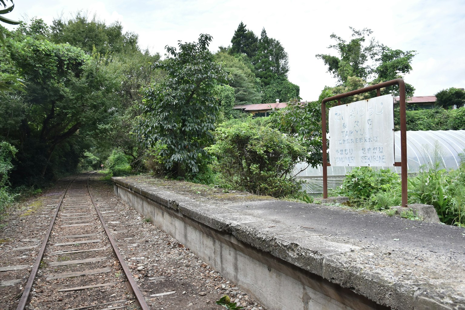 Abandoned train station platform surrounded by lush greenery