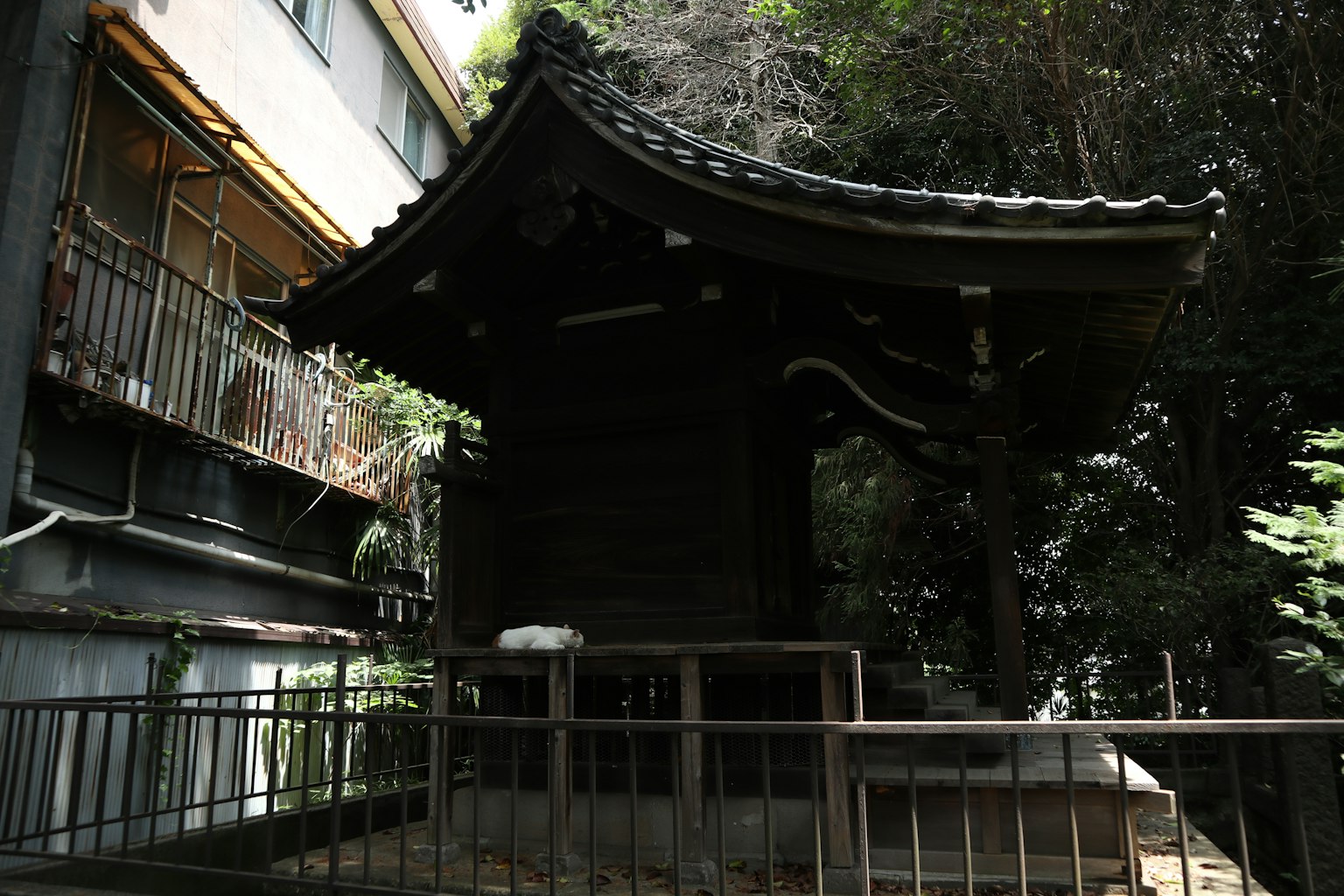 Edificio de santuario japonés tradicional en un bosque