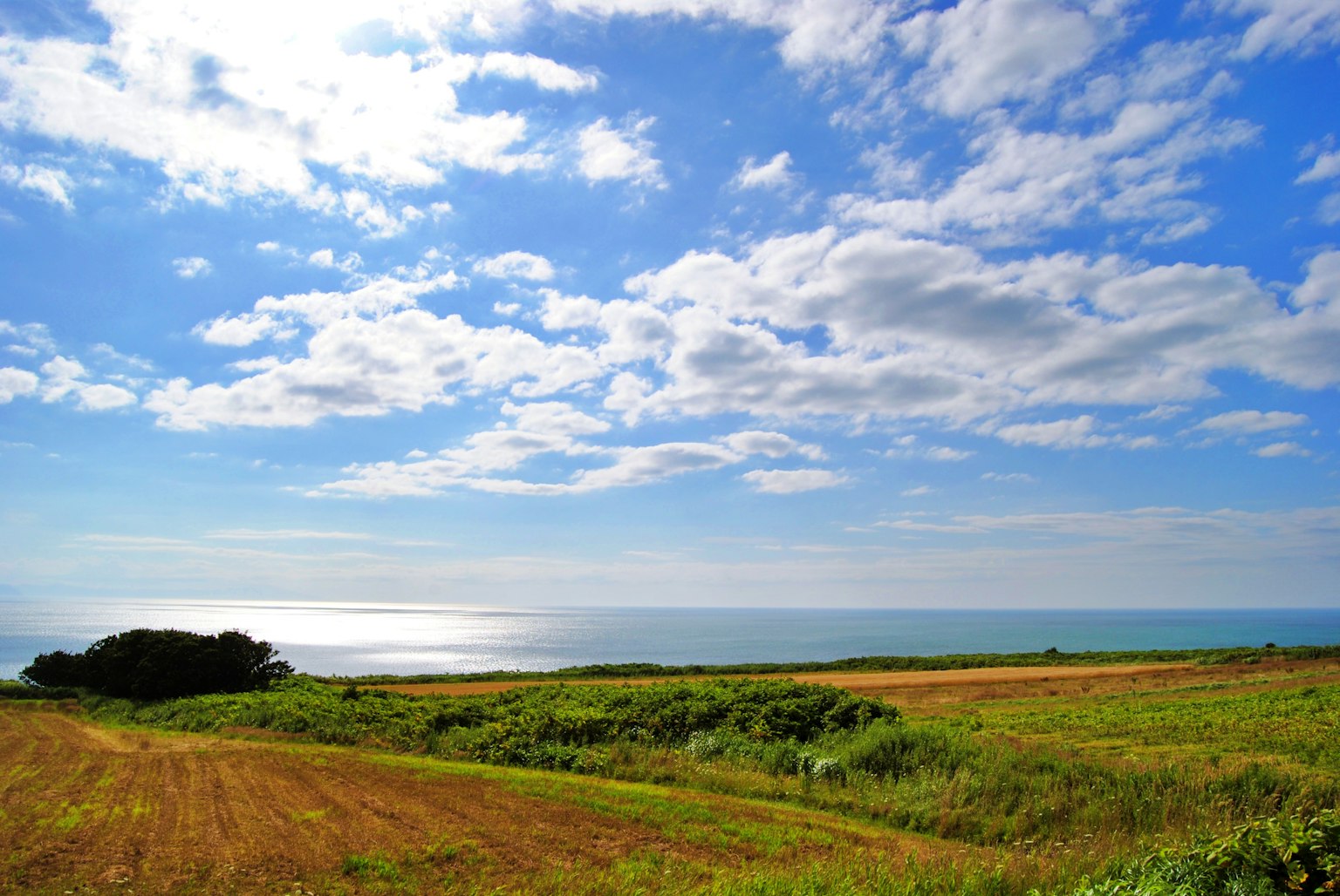 Vista panoramica dell'oceano sotto un cielo blu con nuvole campi verdi e coltivazioni dorate