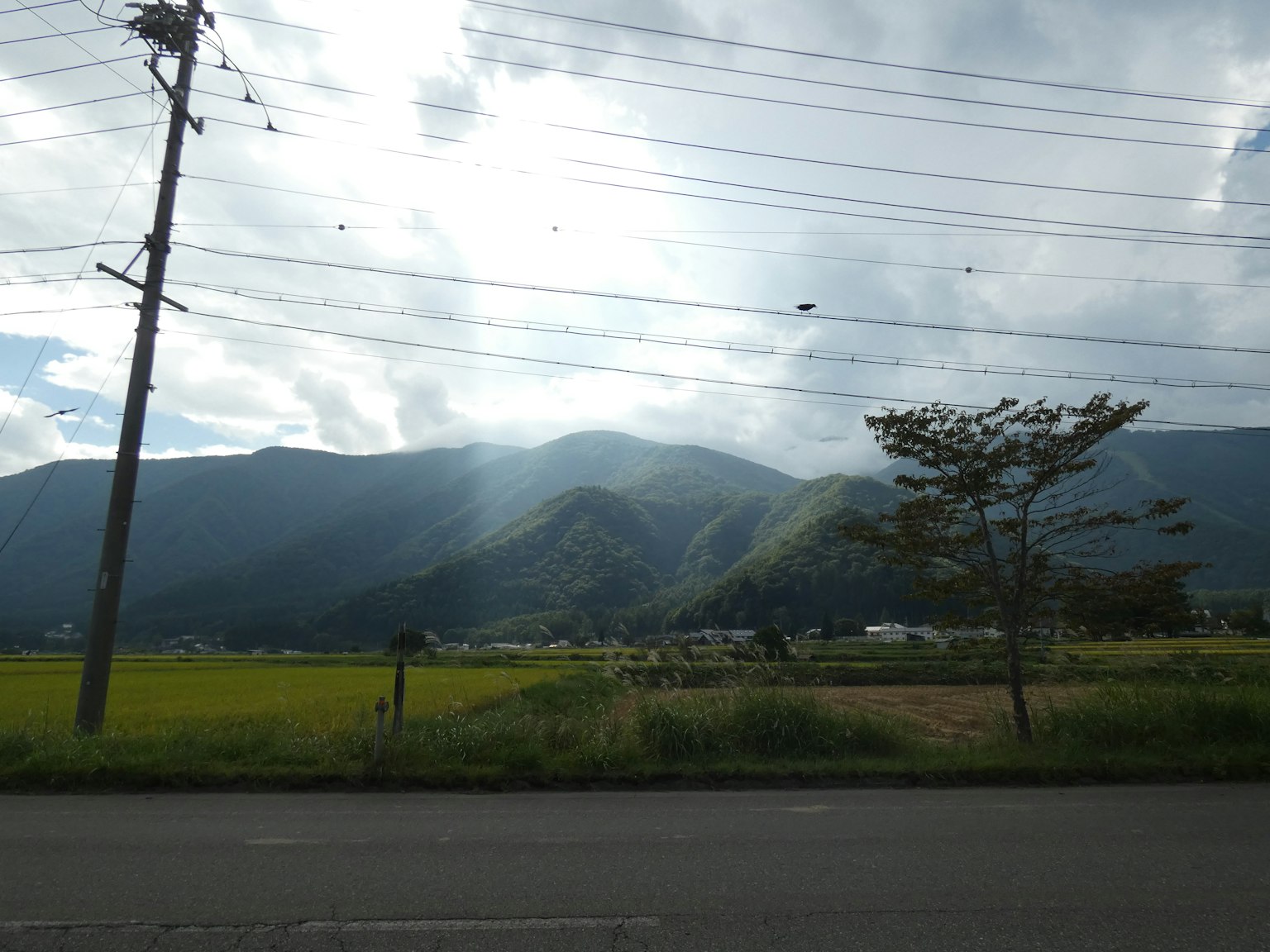 Landscape featuring rice fields and mountains under a cloudy sky