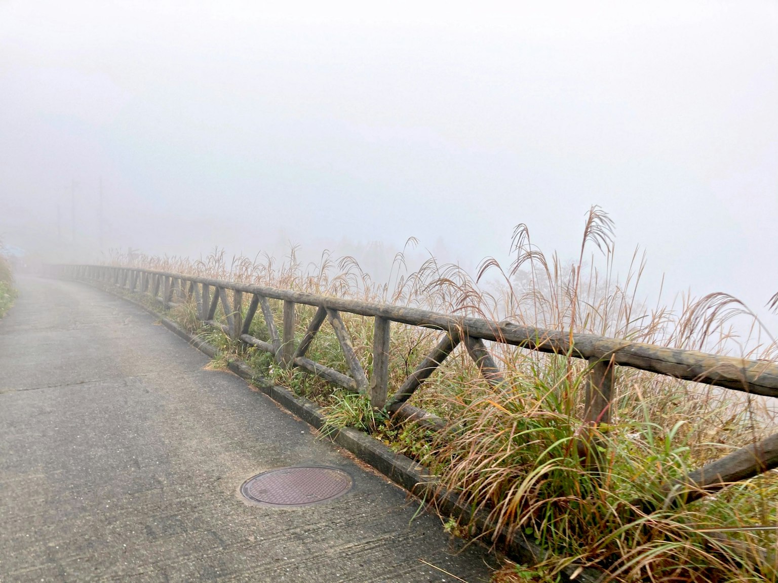 Sentier enveloppé de brouillard avec clôture en bois et herbe environnante