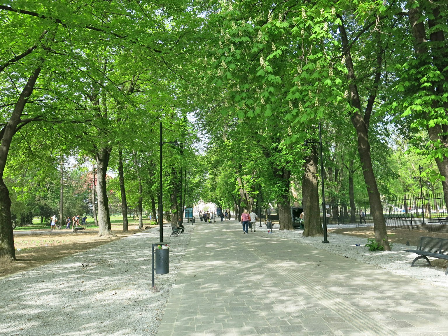 Ein Gehweg in einem Park, umgeben von grünen Bäumen, mit Menschen, die spazieren gehen