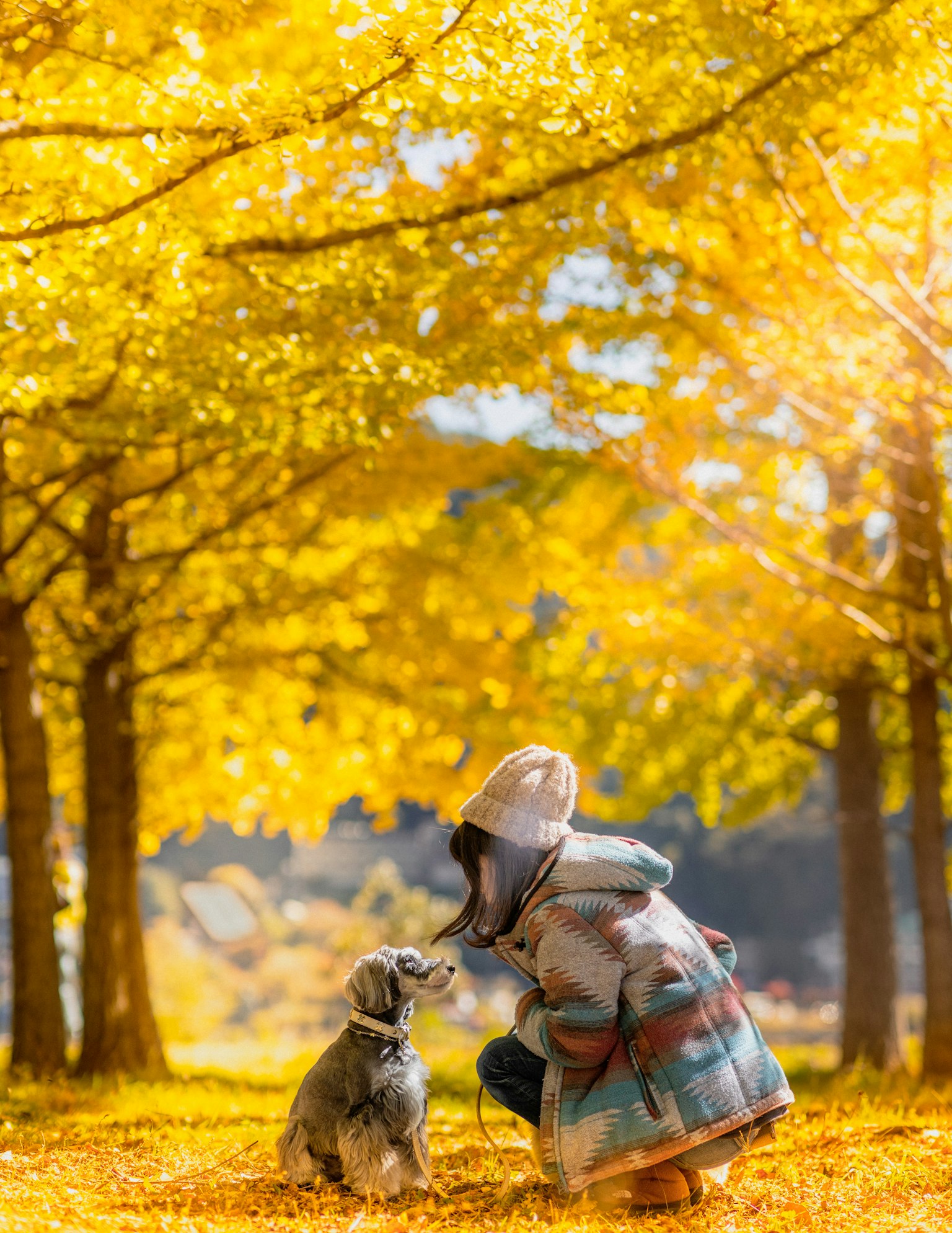 Child playing with a dog under golden trees