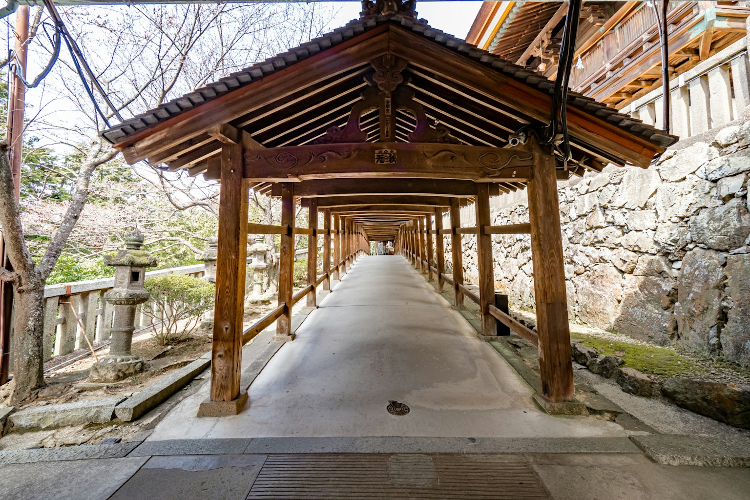 역사적인 장소로 이어지는 나무 아케이드가 있는 고요한 길