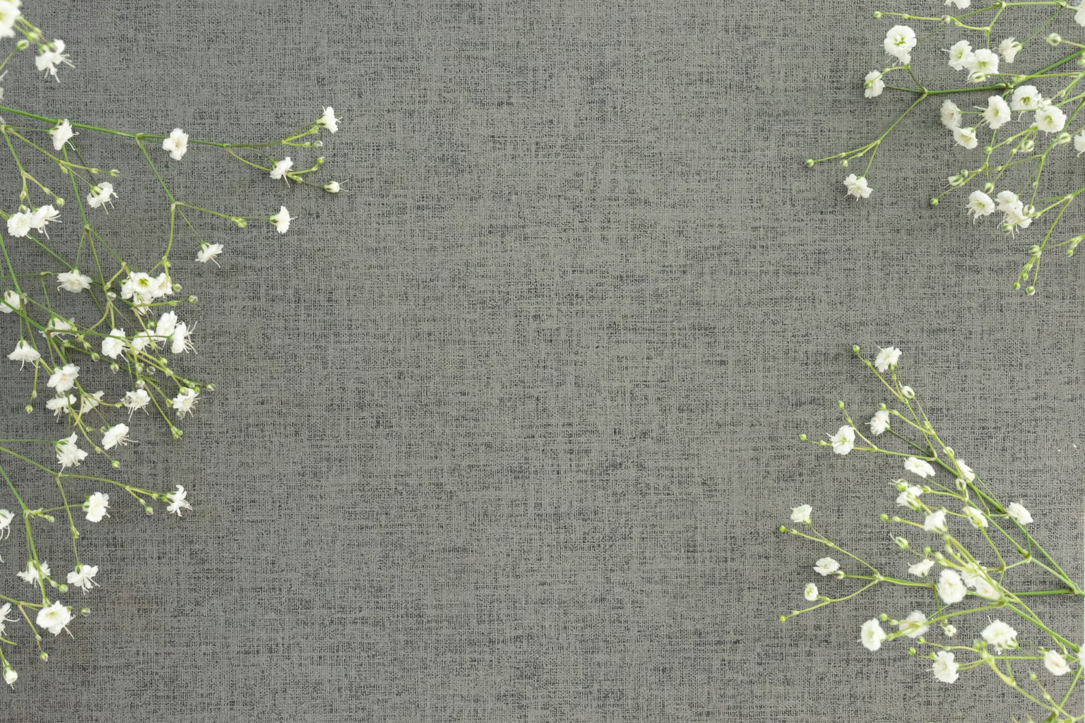 Einfaches Design mit weißen kleinen Blumen auf grauem Hintergrund