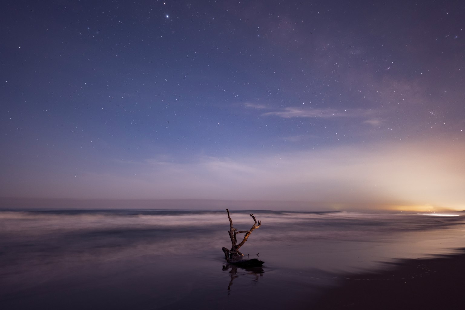 Beach scene featuring driftwood and a starry sky