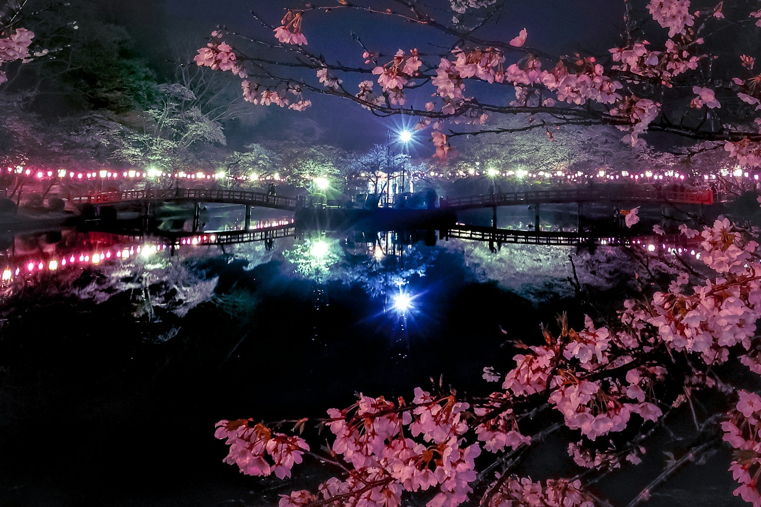 Beautiful night scene with cherry blossoms and lights reflecting on water