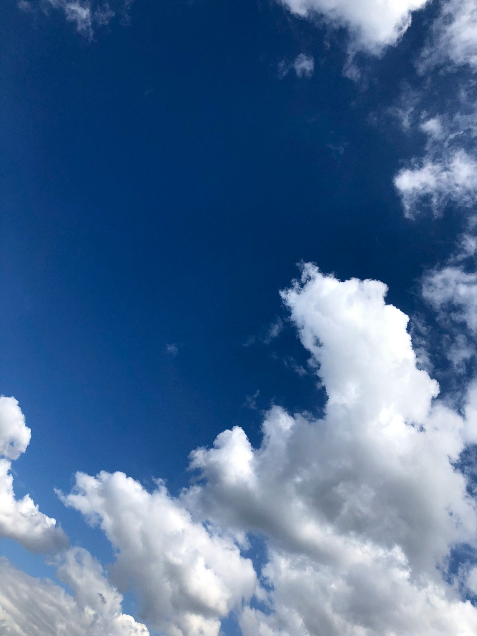Cielo azul vibrante con nubes blancas esponjosas