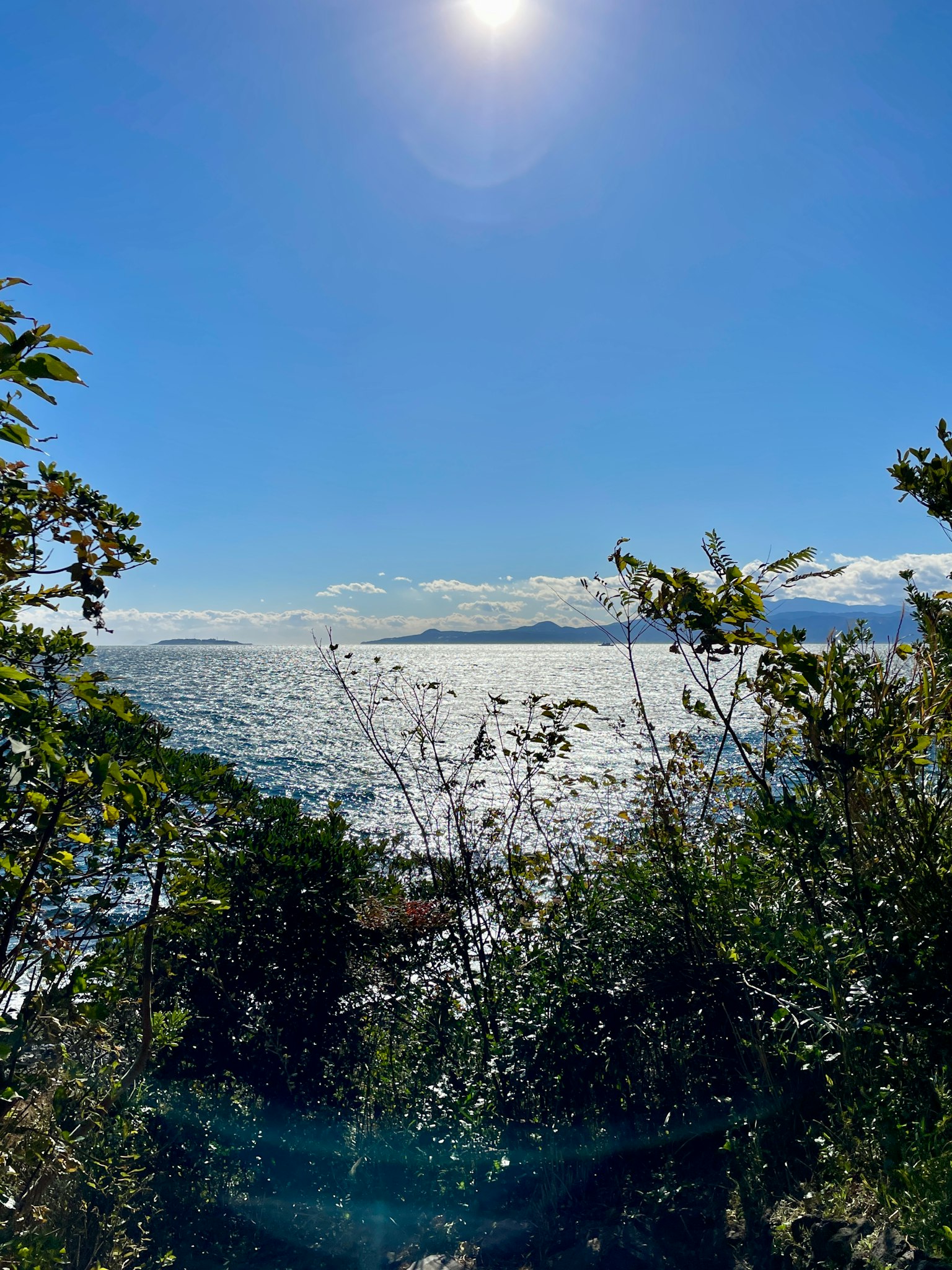 Malersicher Blick auf den Ozean unter einem blauen Himmel mit der Sonne und grünem Laub im Vordergrund