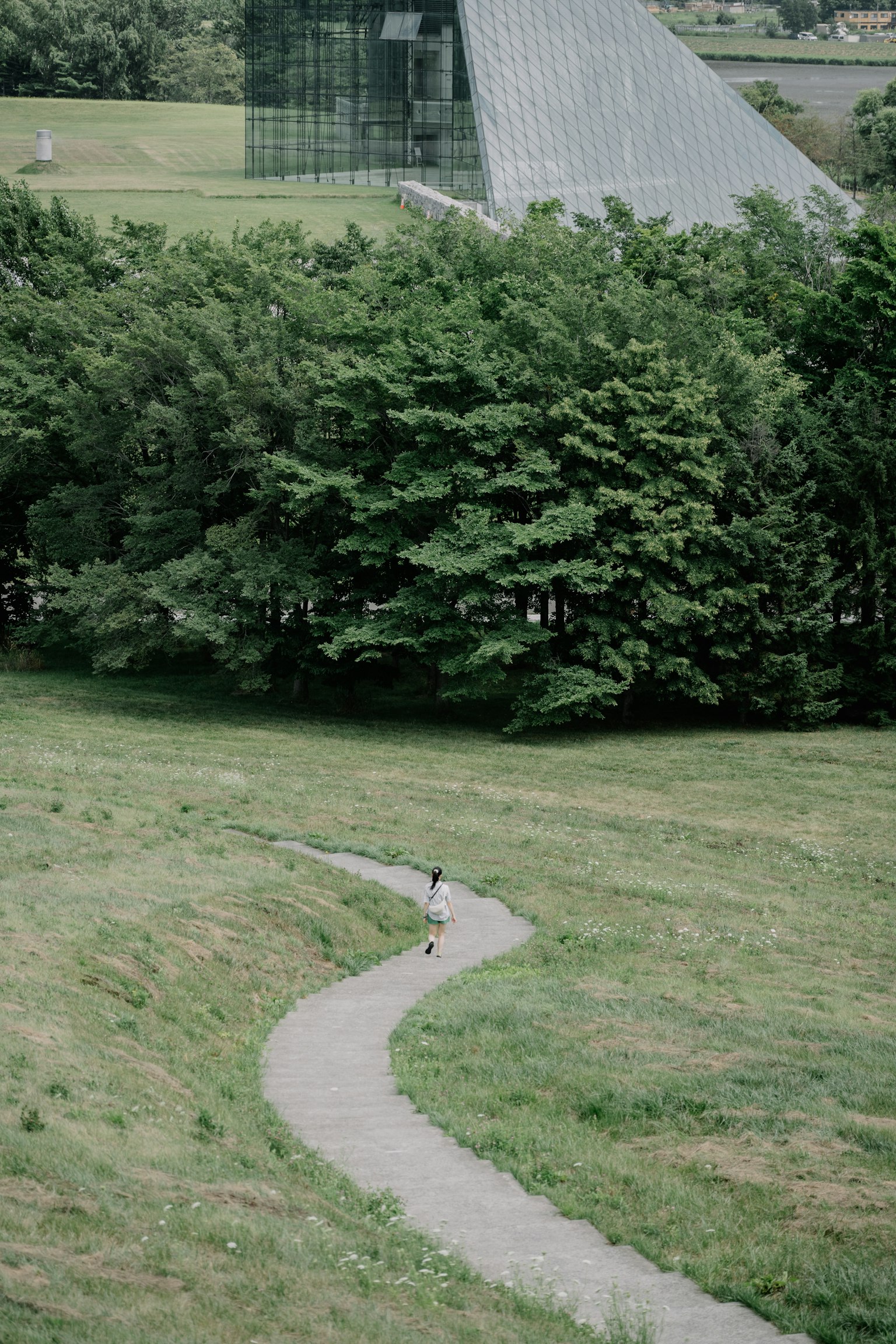 Una persona caminando por un sendero sinuoso en un paisaje verde