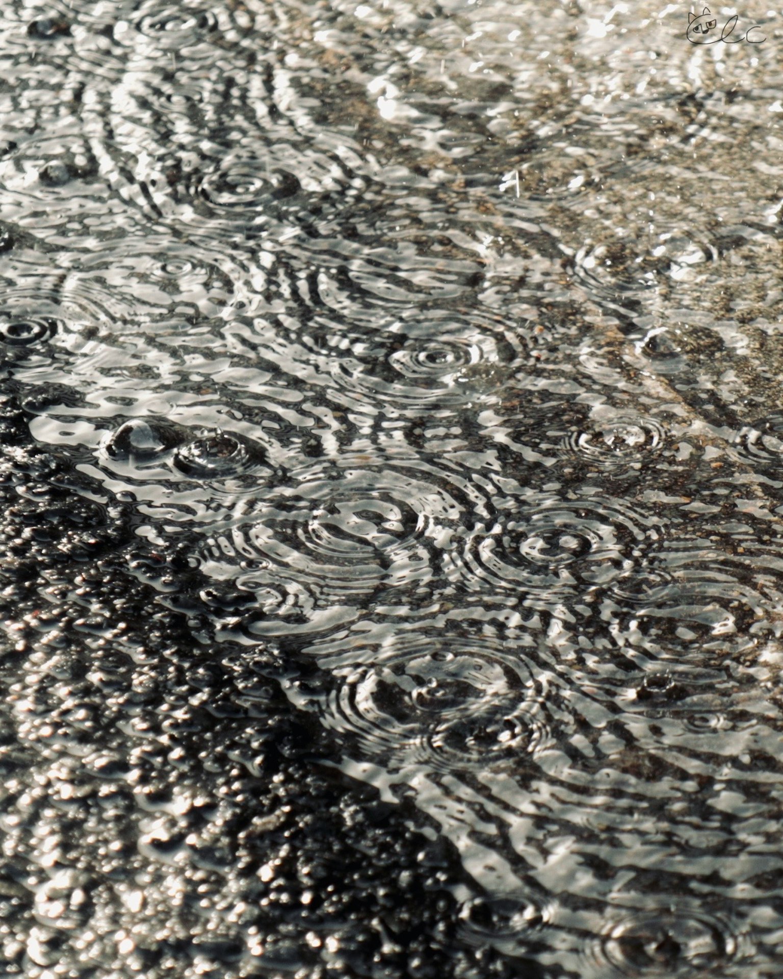 Image de gouttes de pluie créant des ondulations sur le sol