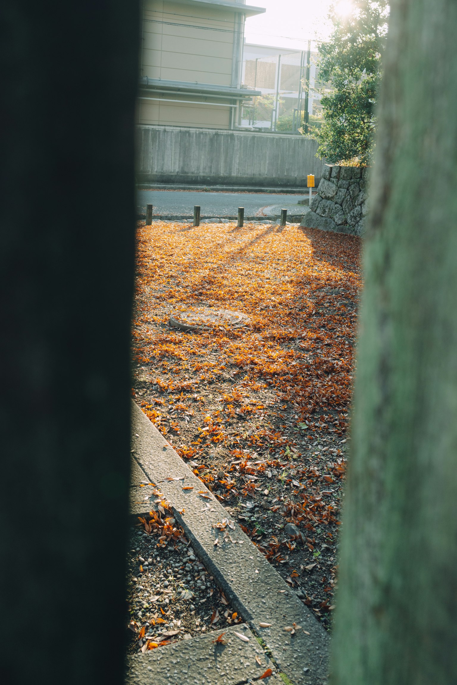 photo-qfmnndv2J9l2VWg9hXVy-image