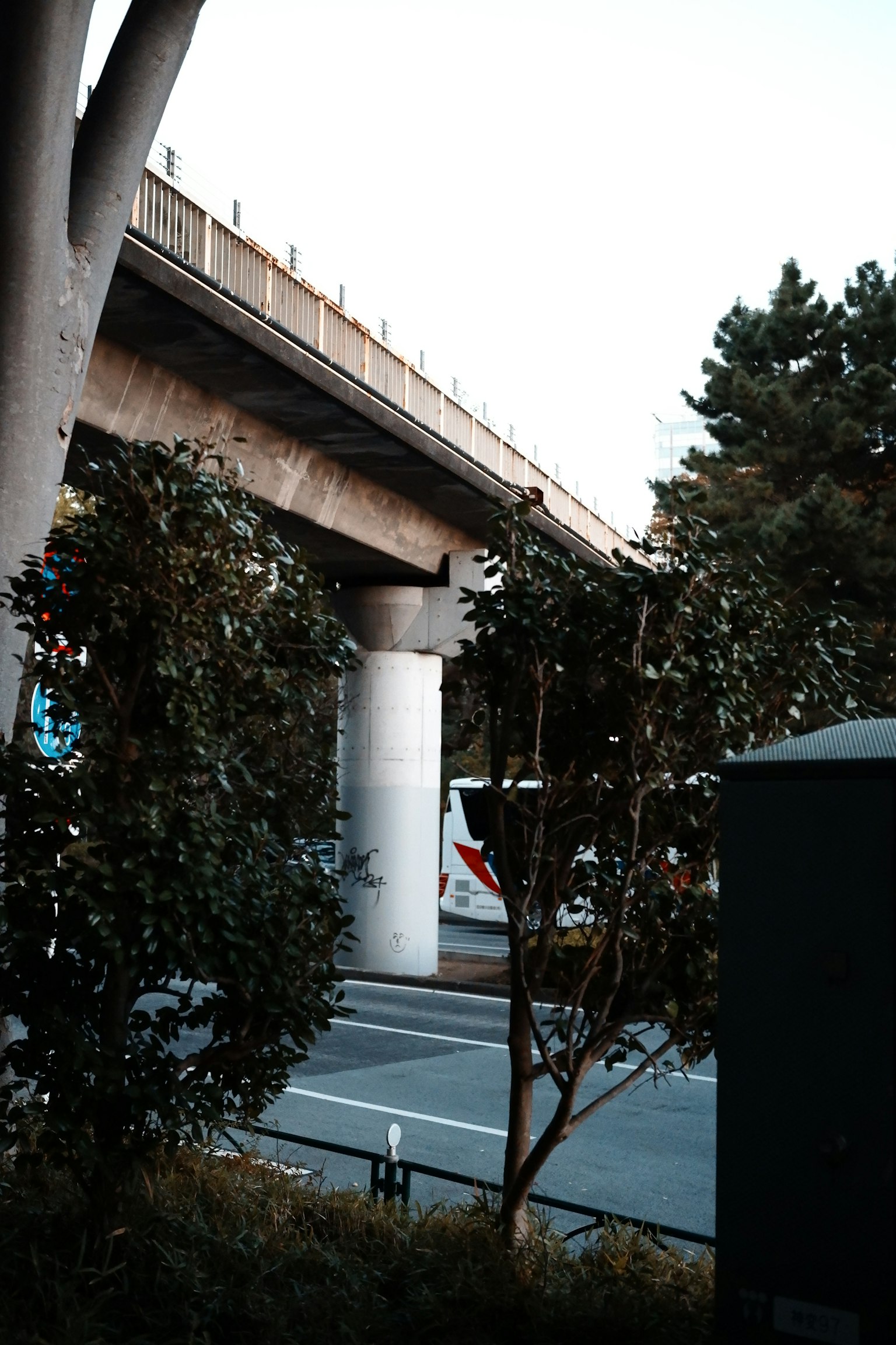 A view of an elevated road with surrounding trees