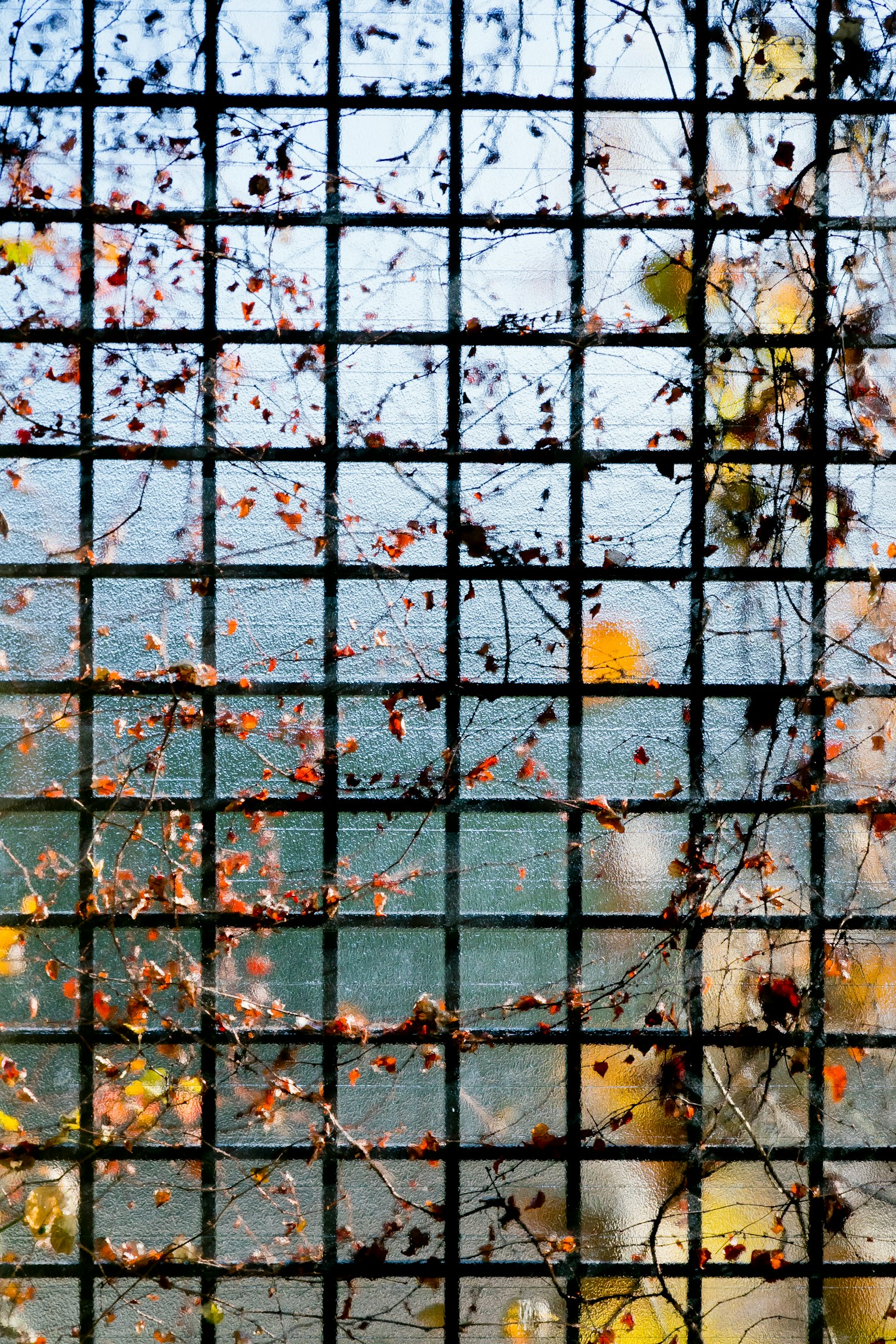 Ventana de vidrio con patrón de cuadrícula y huellas de hojas contra un fondo acuático