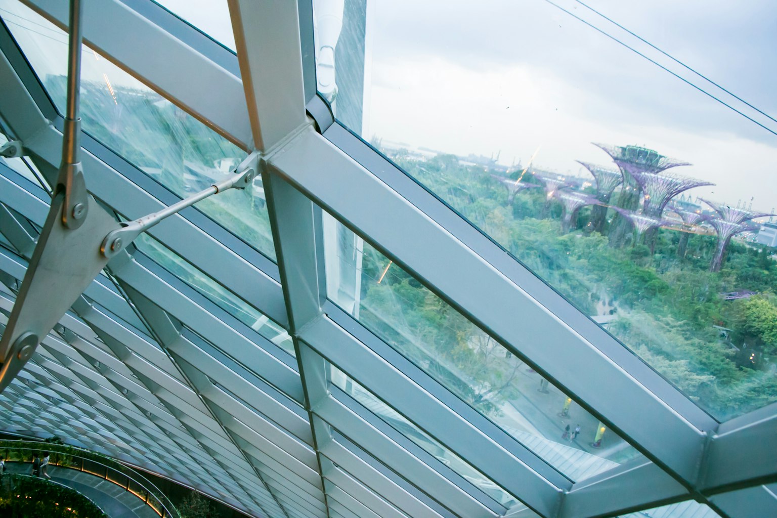 Large glass window revealing lush greenery and architectural structures