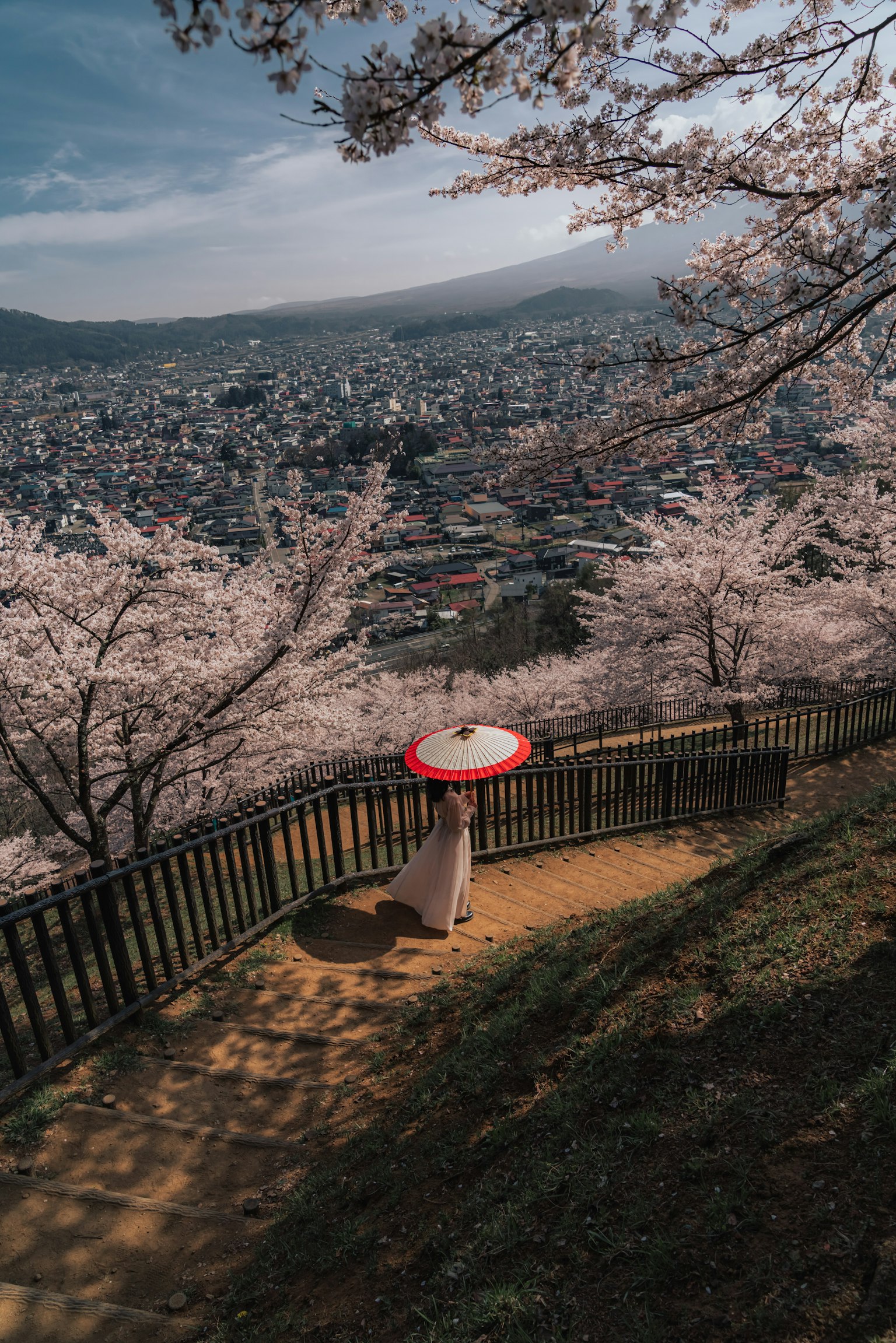 手持红伞的女性站在樱花树下，背景是城市风景