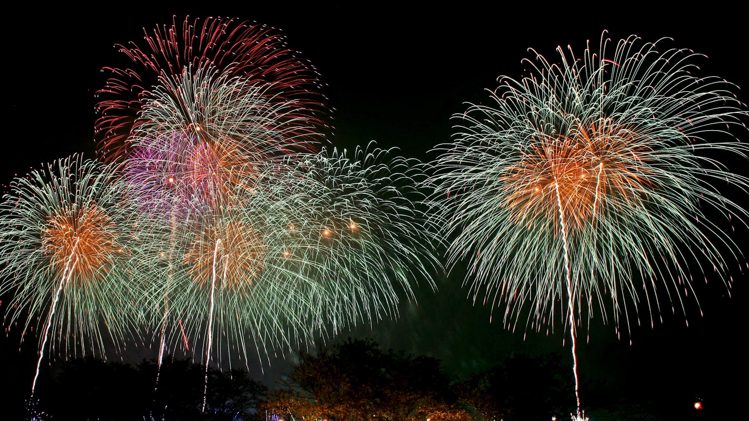 Una hermosa exhibición de fuegos artificiales en el cielo nocturno con colores rojos y verdes llamativos