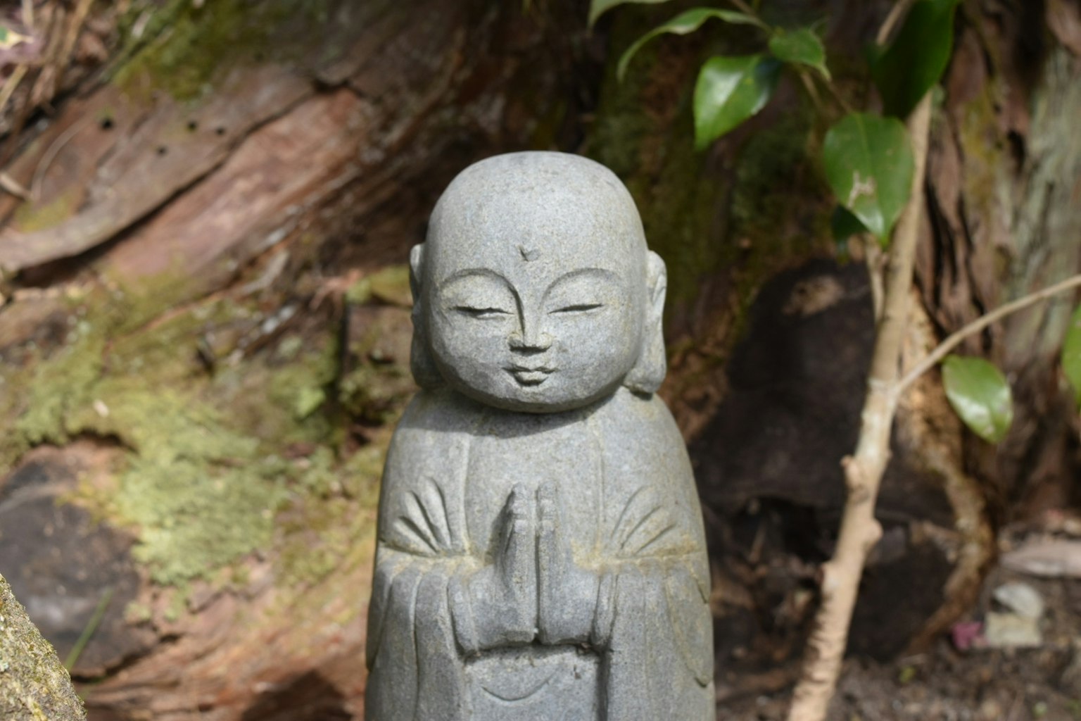一尊小佛像以祈禱姿勢矗立，周圍環繞著綠色植物和樹皮