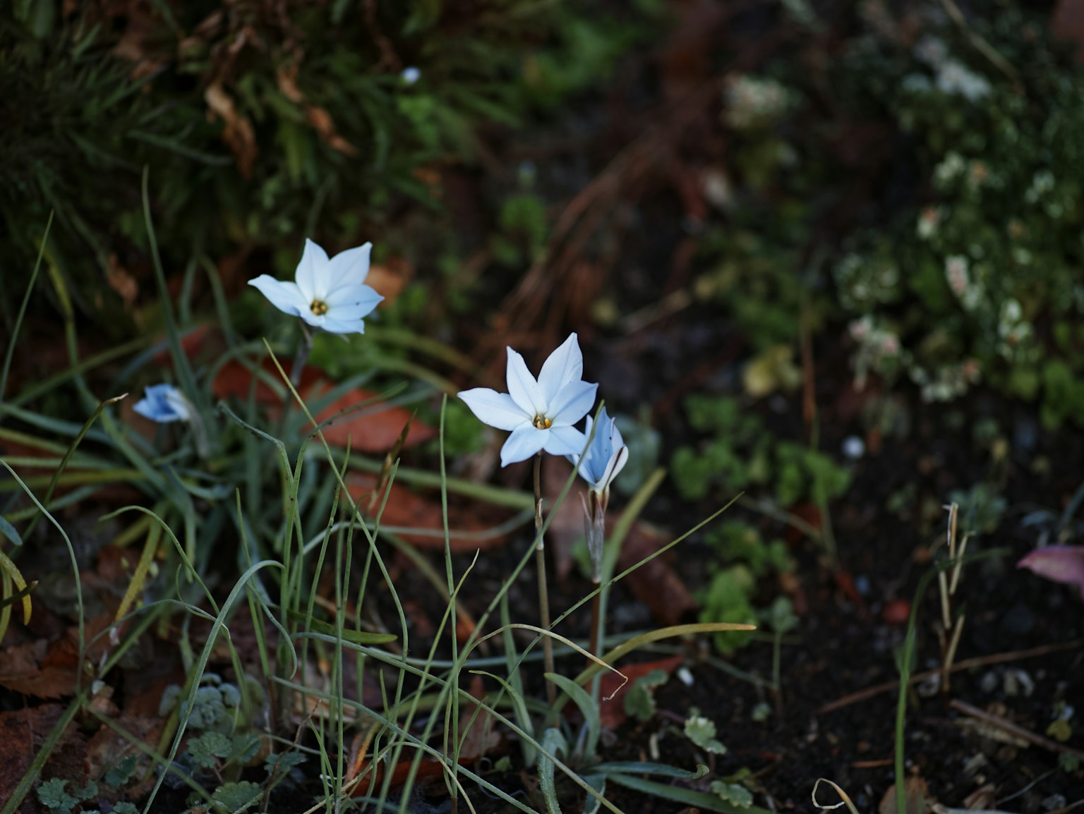 photo-qhm7kY5o8fwuDfUU8FlS-image