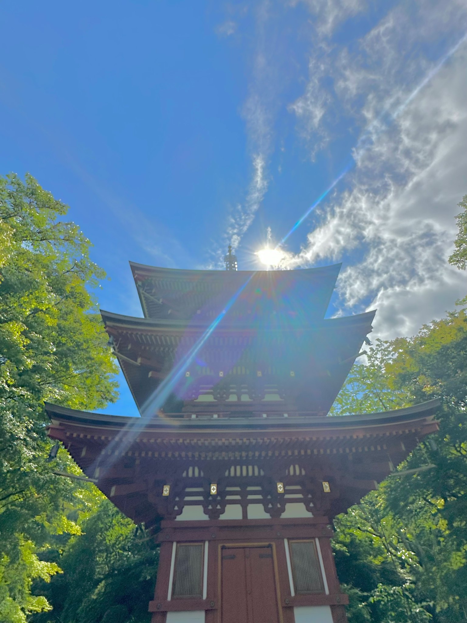 Image d'une pagode sous un ciel bleu dégagé entourée d'arbres verts luxuriants