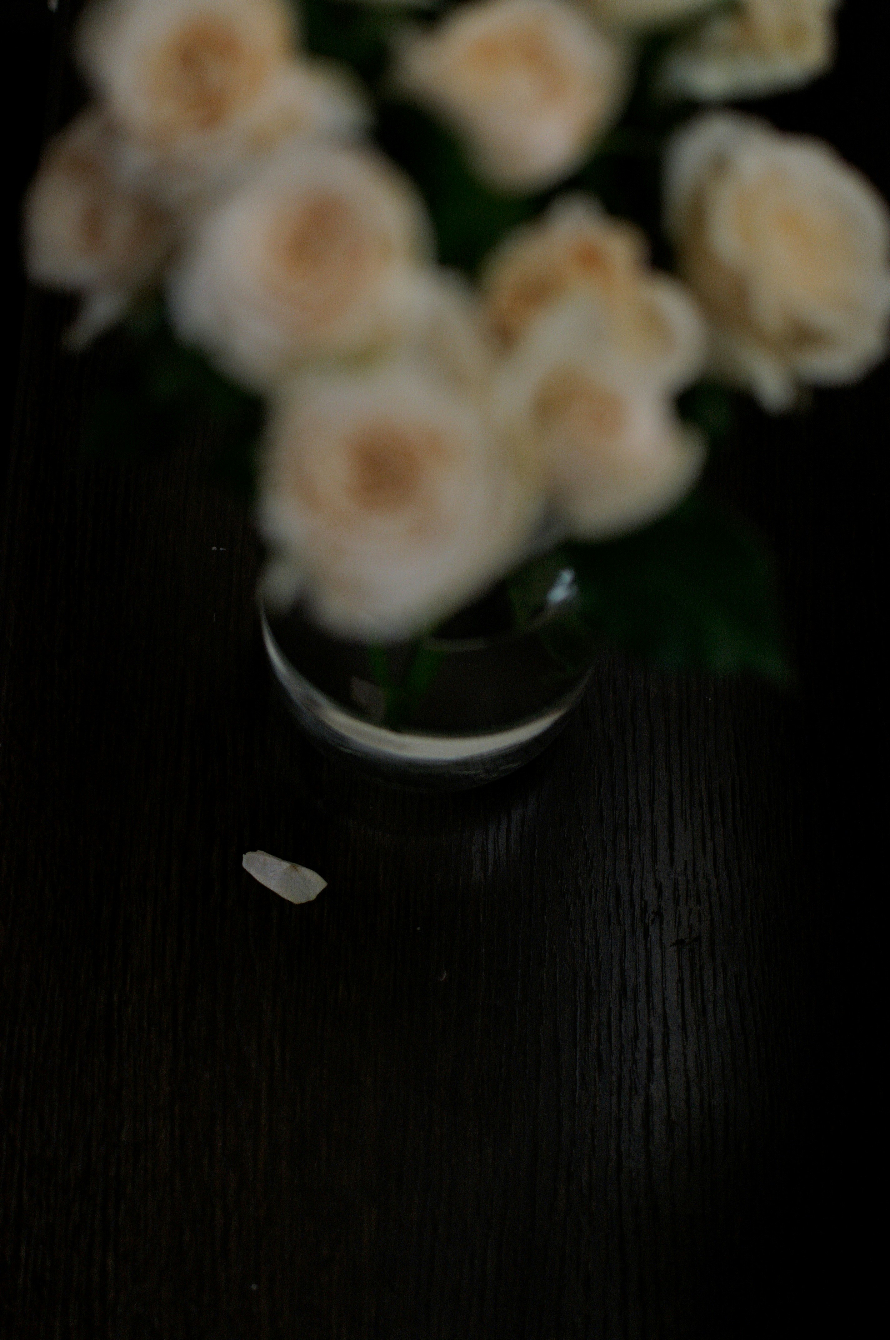 暗い木目の上の花弁ボケと小さな花