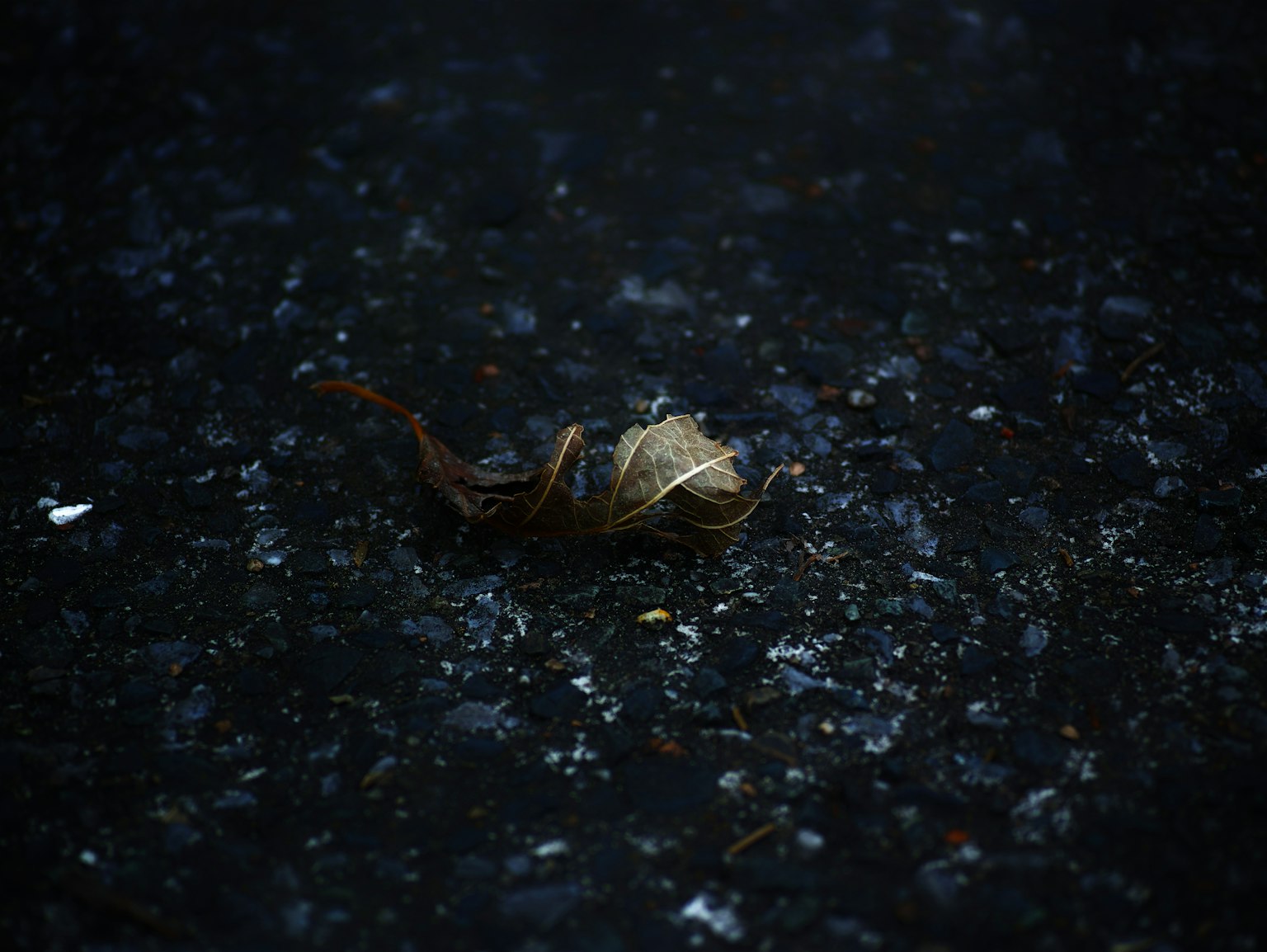 photo-qjqHFtfI4kJDk3B9kjeX-image