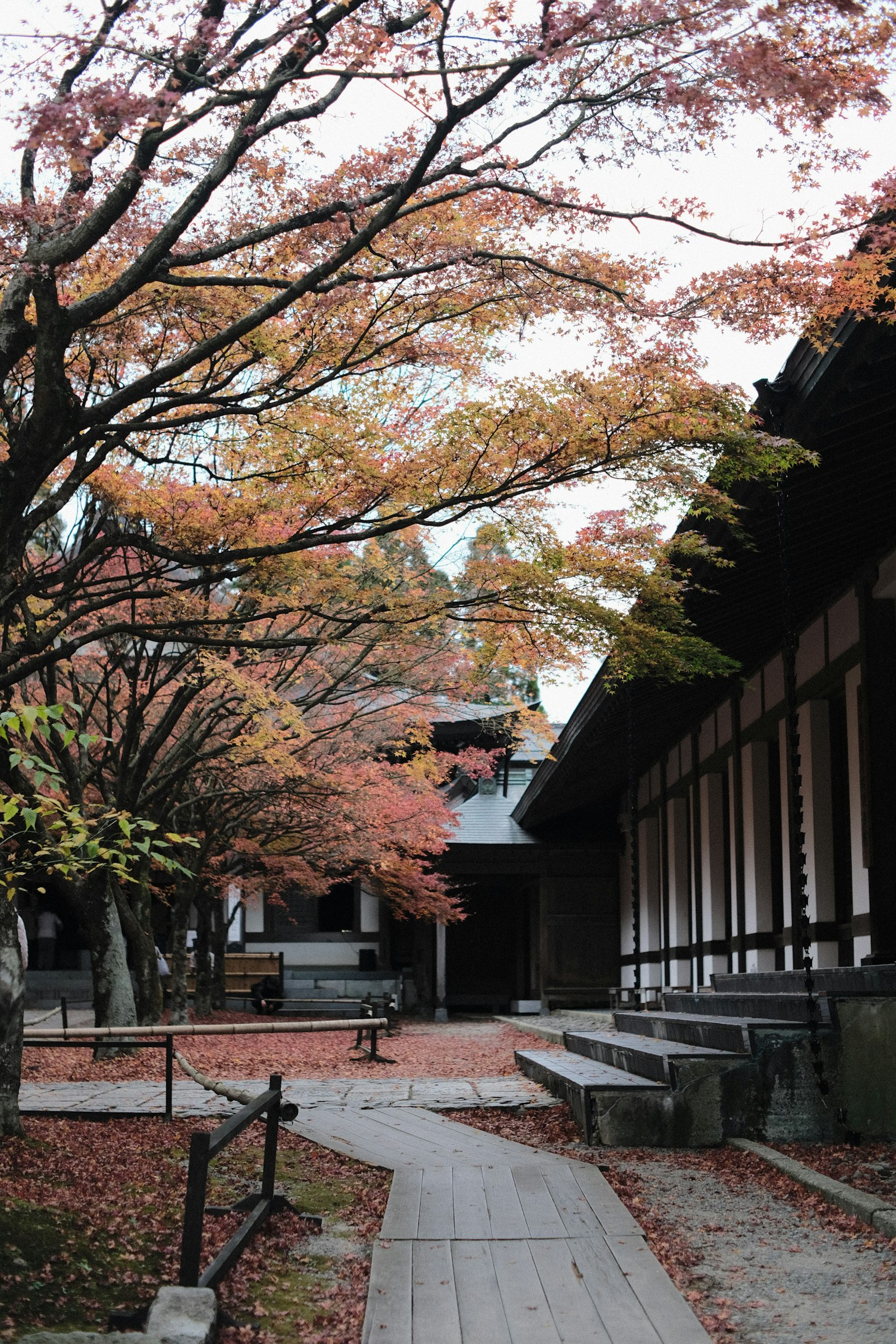 Pathway in a garden with beautiful autumn foliage and traditional buildings