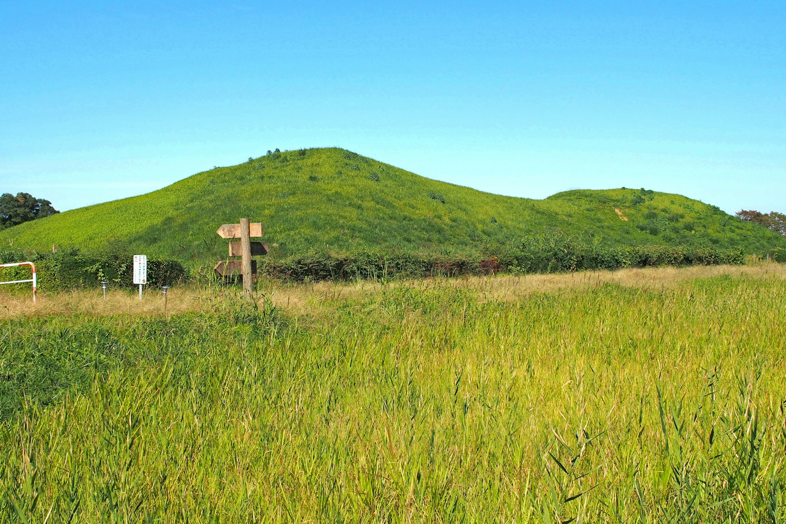 Grüne Hügel mit einem Holzschild in einem grasbewachsenen Feld