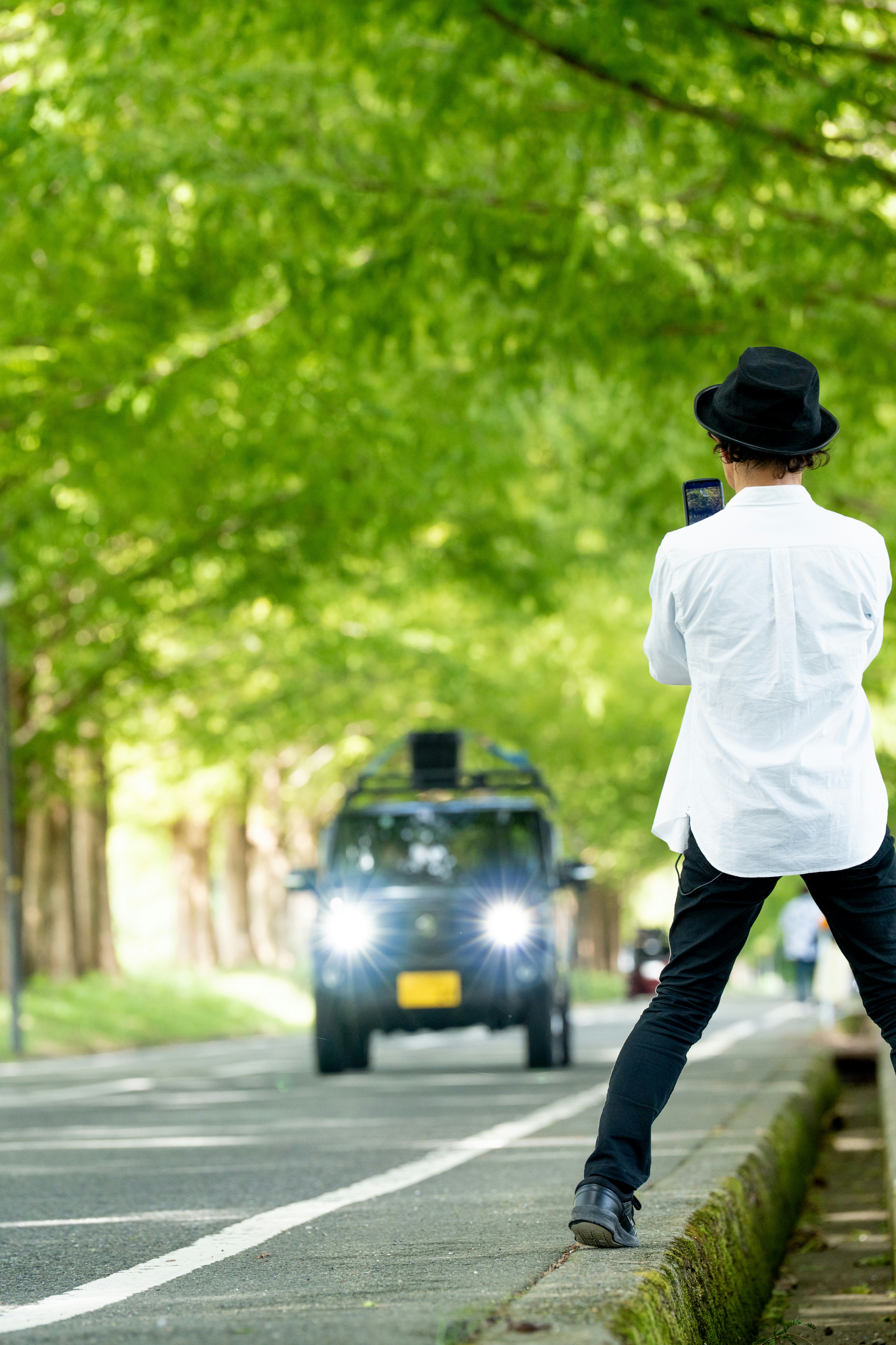 並木道を歩く後ろ姿の人物と車のある道路