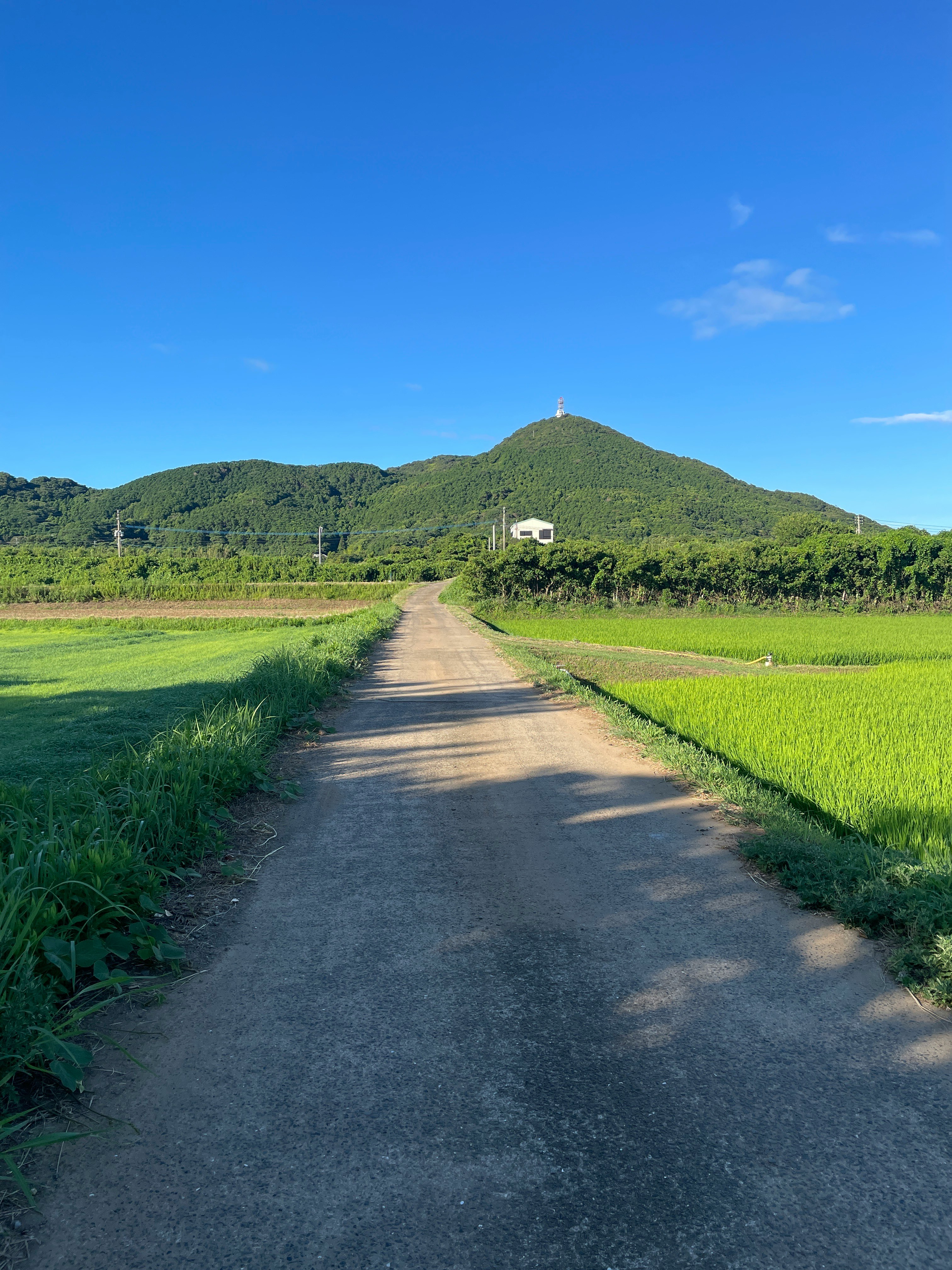 山へ続くあぜ道の先に小さな建物と緑の丘