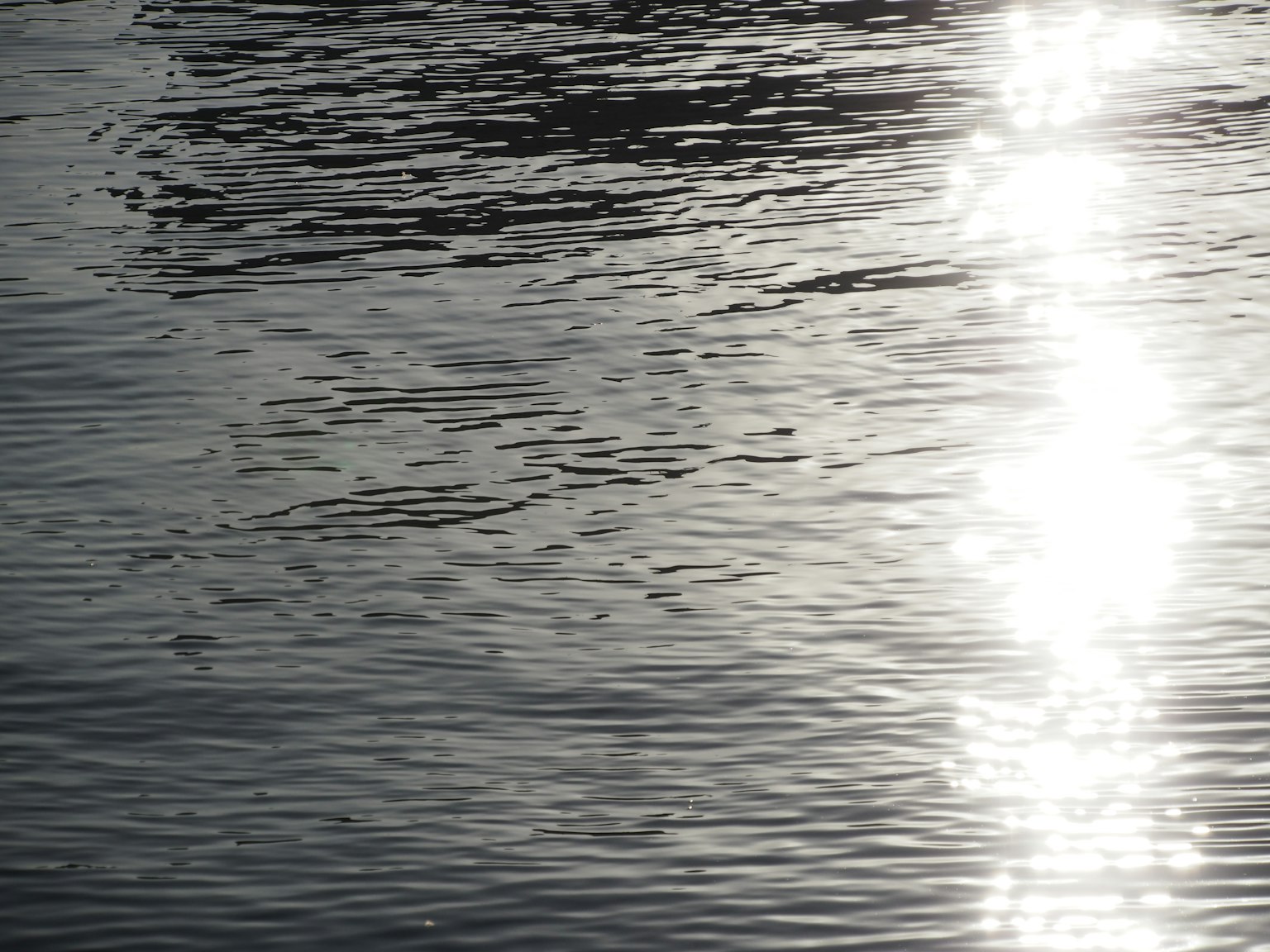 Reflet de la lumière sur la surface de l'eau avec des ondulations