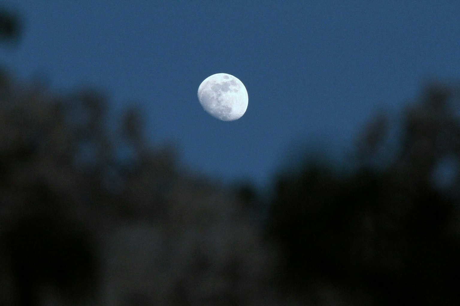 Nahaufnahme des Mondes vor blauem Himmel