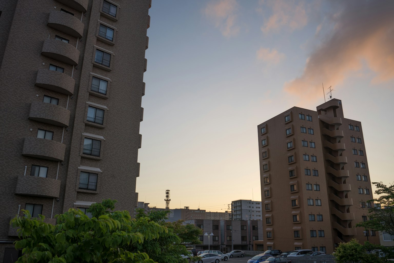 Edificios altos contra un cielo de atardecer con vegetación en primer plano