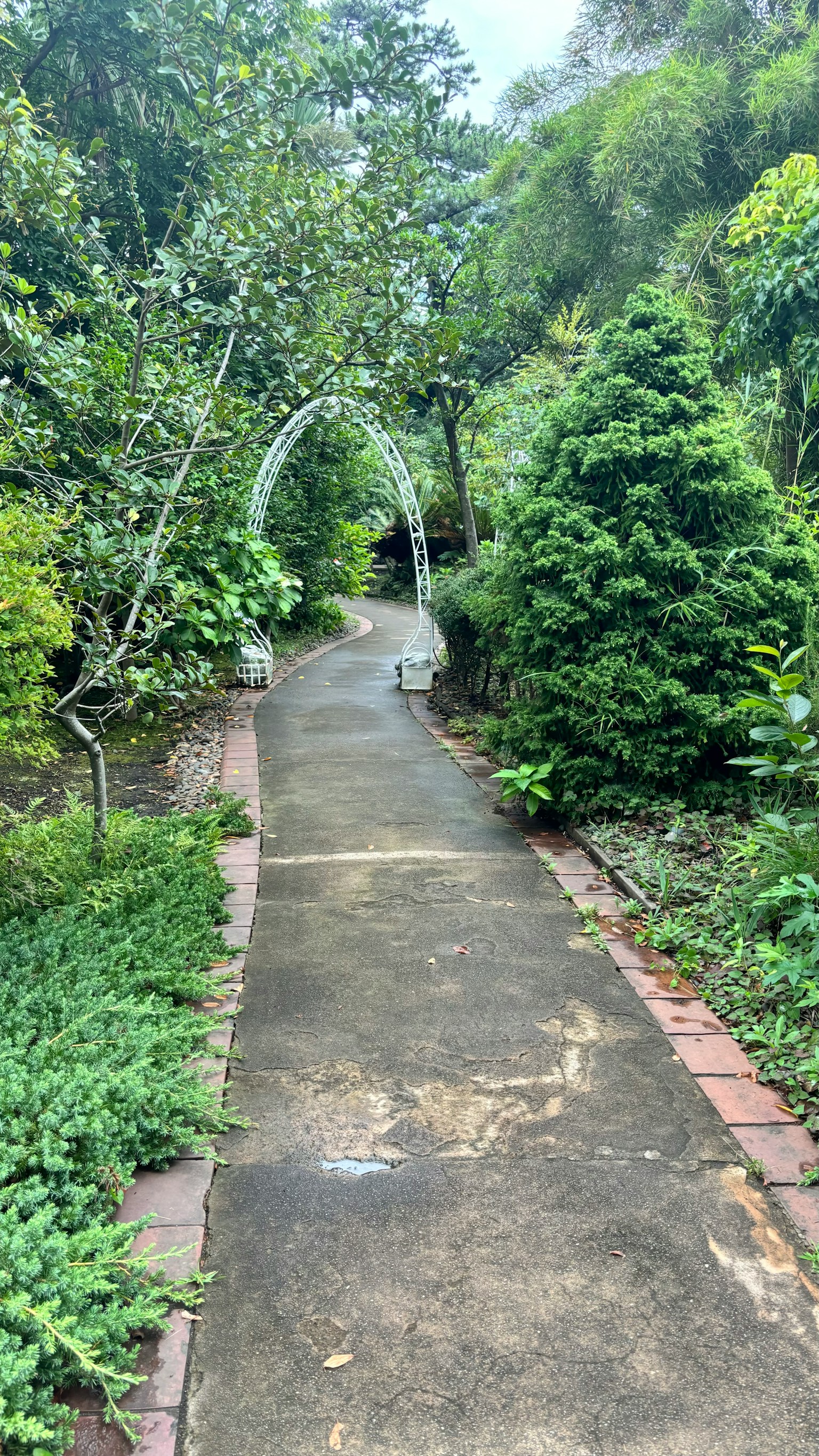 Jalan taman yang rimbun dengan gerbang dan tanaman hijau