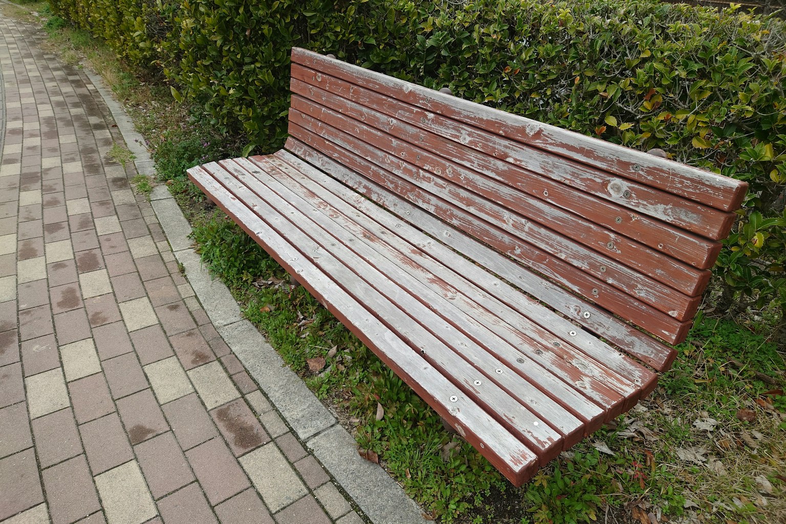 Banco de madera en un parque
