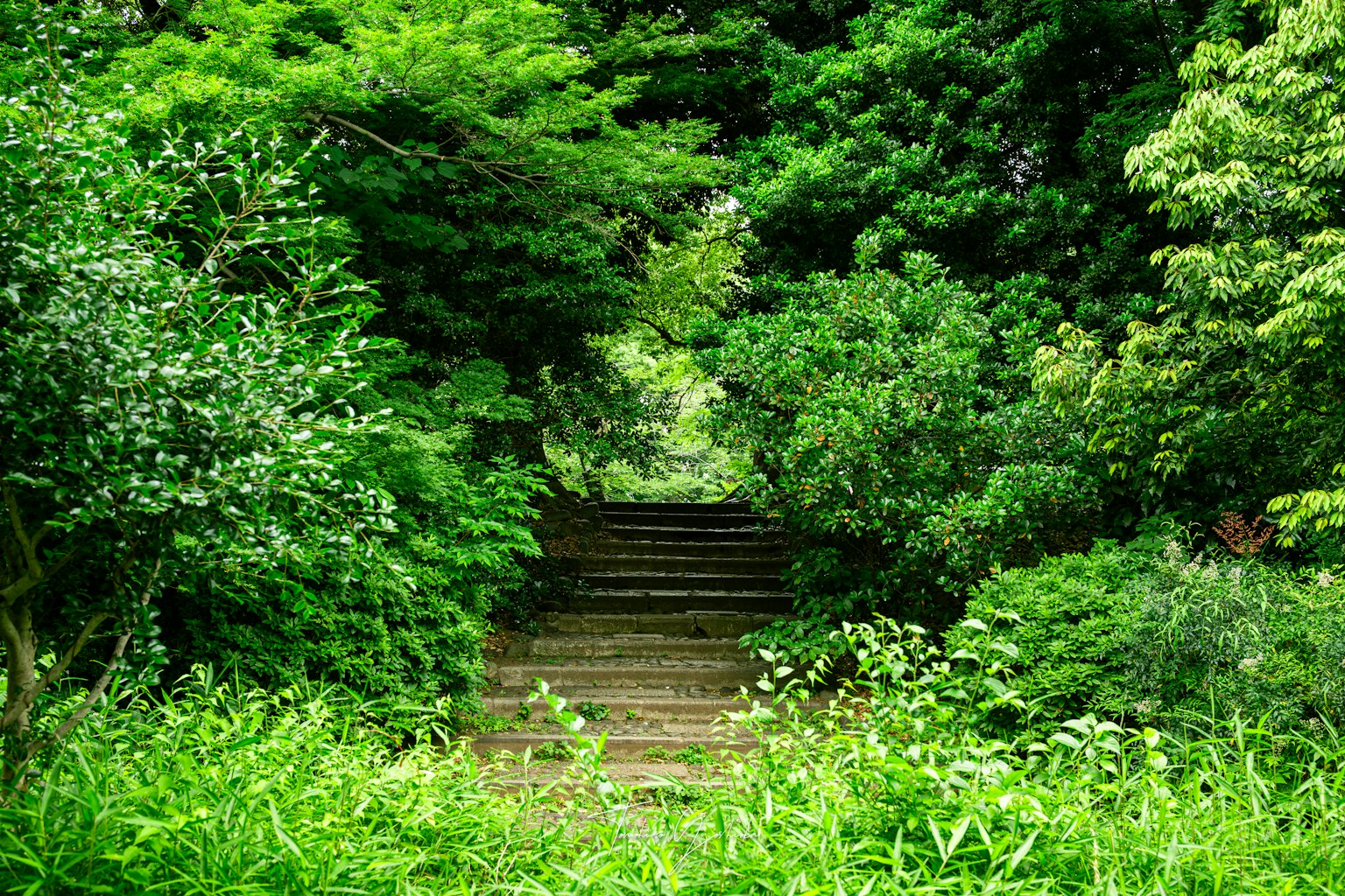 photo-qny16adlRpw1B4aydezU-image