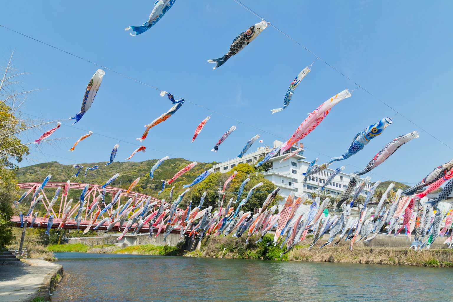 Koinobori terbang di atas sungai di bawah langit biru yang cerah
