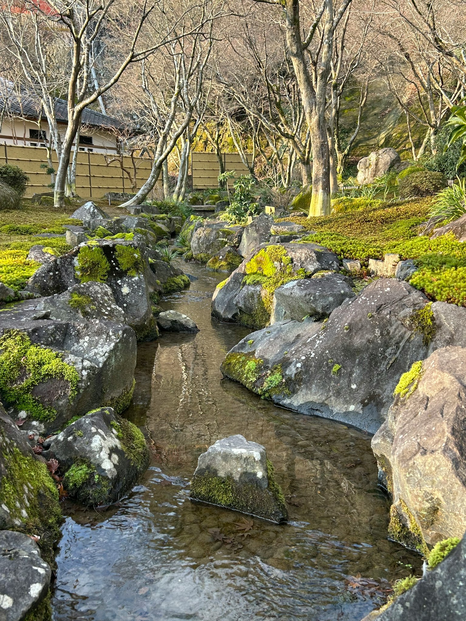 Escena de jardín sereno con un arroyo y rocas cubiertas de musgo