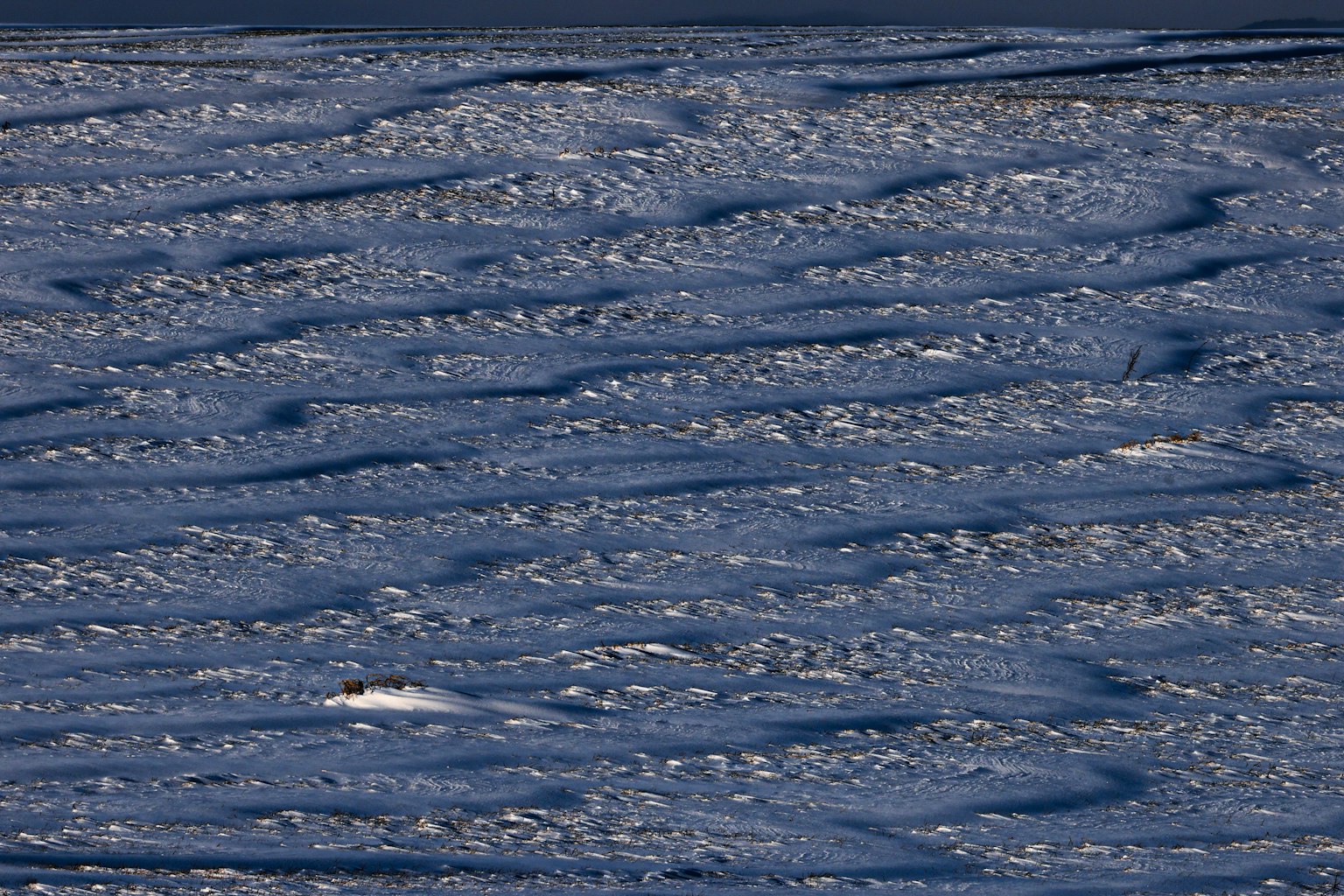 Bellissimo paesaggio con superficie d'acqua blu ondulata