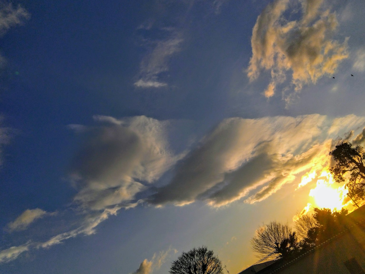 Bellissimo cielo al tramonto con nuvole e sfondo blu
