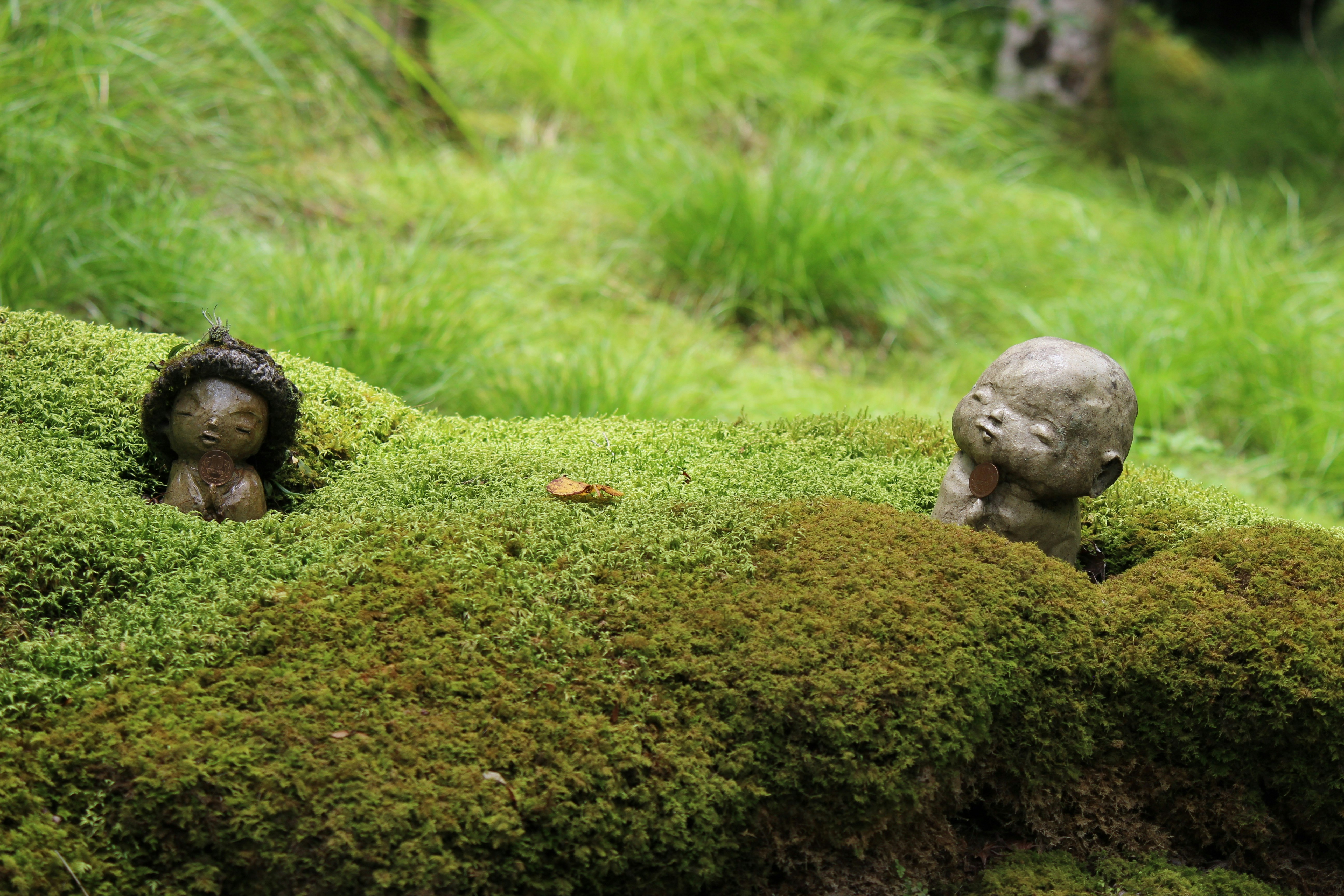 mossy garden with small figurines