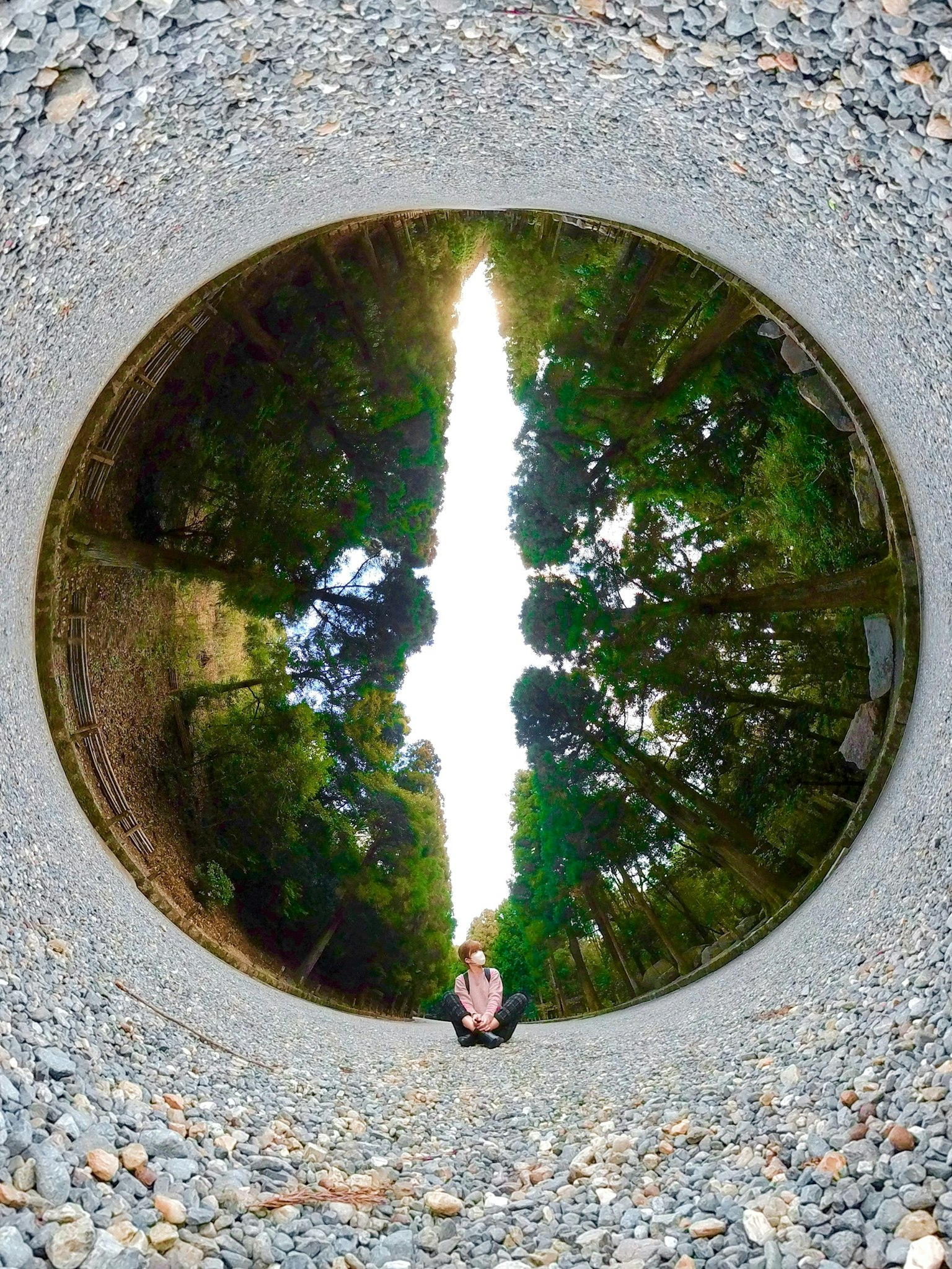Person sitzt in einer kreisförmigen Landschaft umgeben von Bäumen und einem hellen Lichtweg