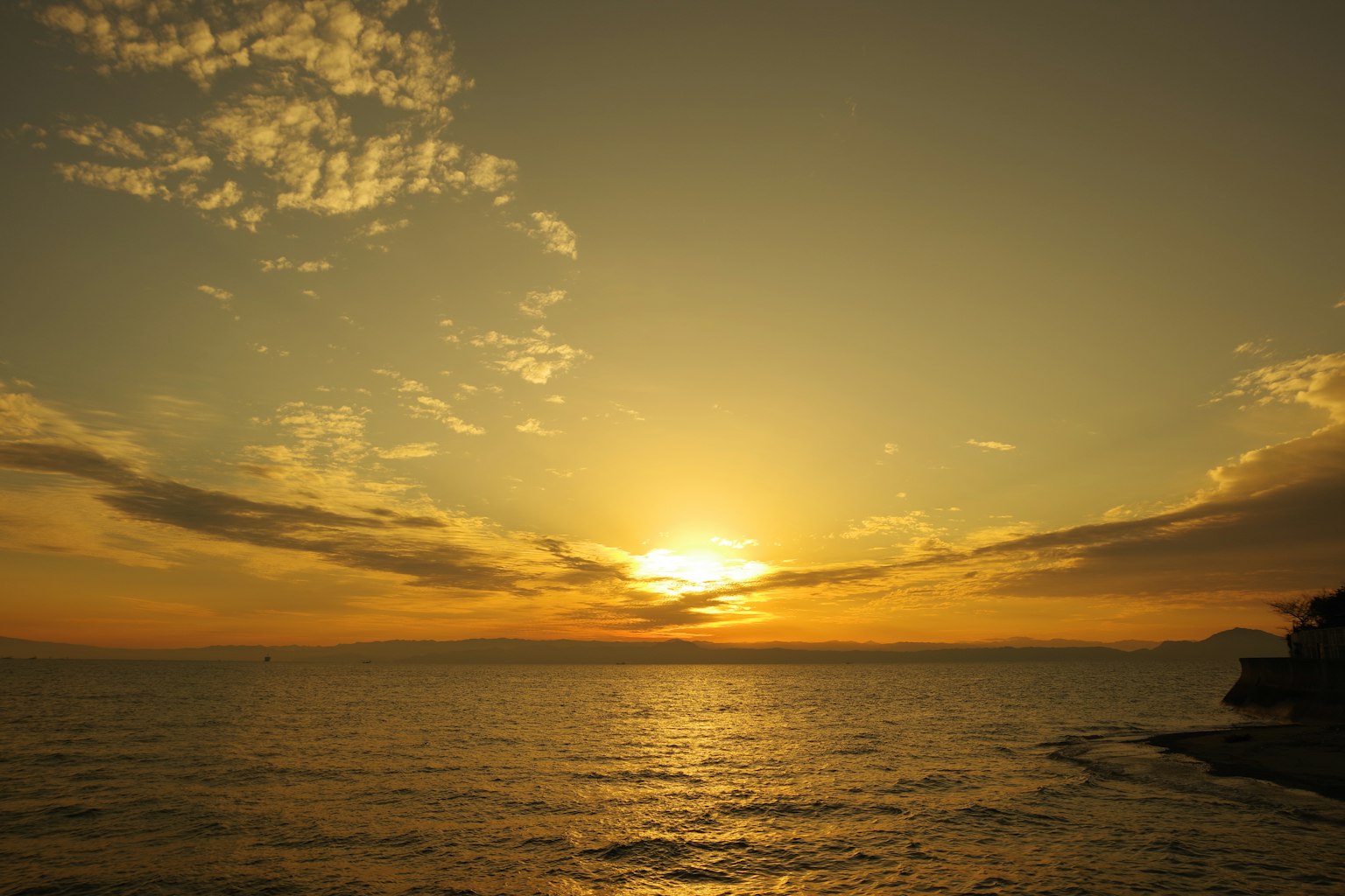 photo-qqU0ZoJHNm46R9WSTjhk-image