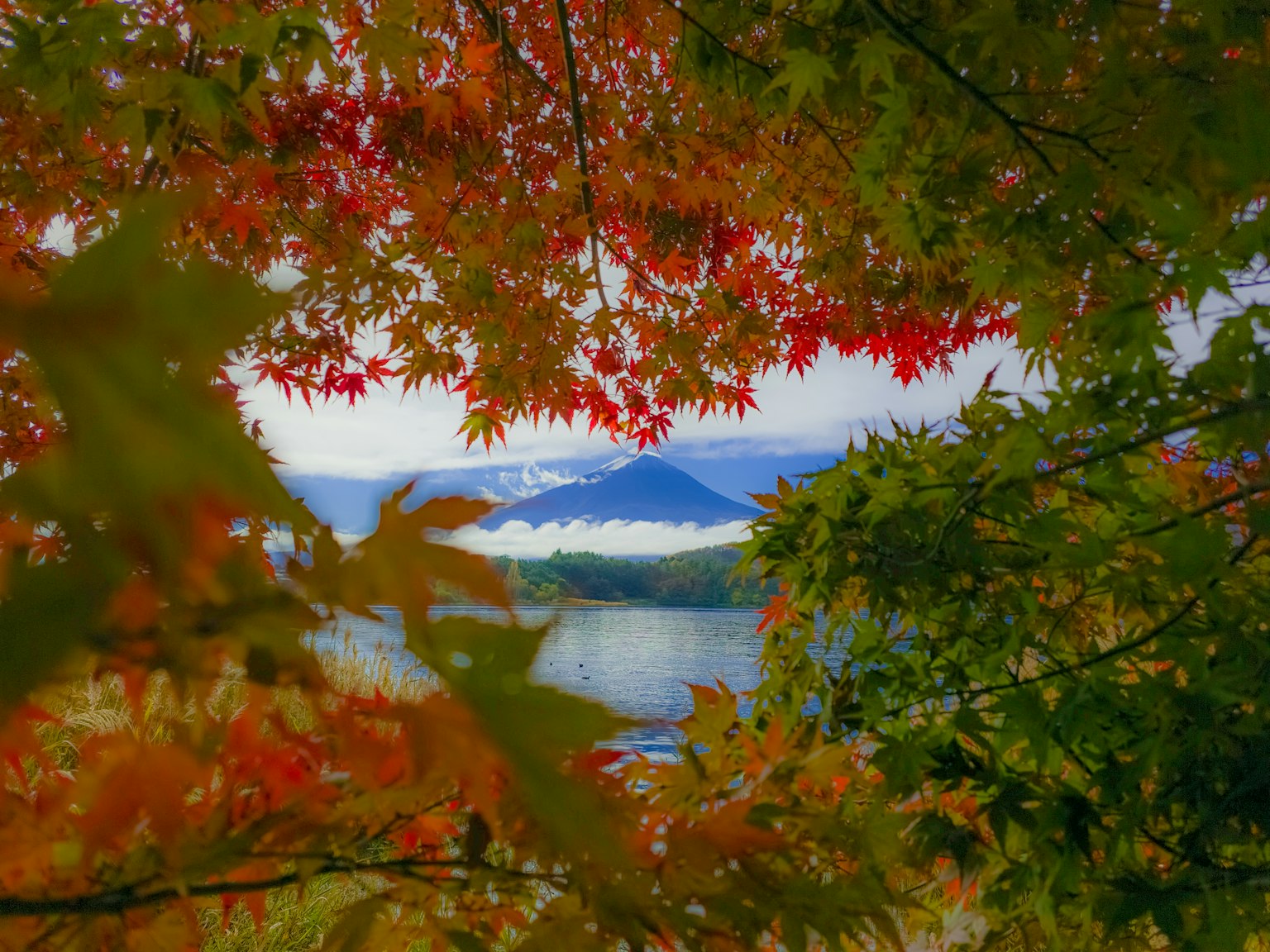 ทิวทัศน์ที่สวยงามของทะเลสาบและภูเขาที่ถูกล้อมรอบด้วยใบไม้ฤดูใบไม้ร่วง