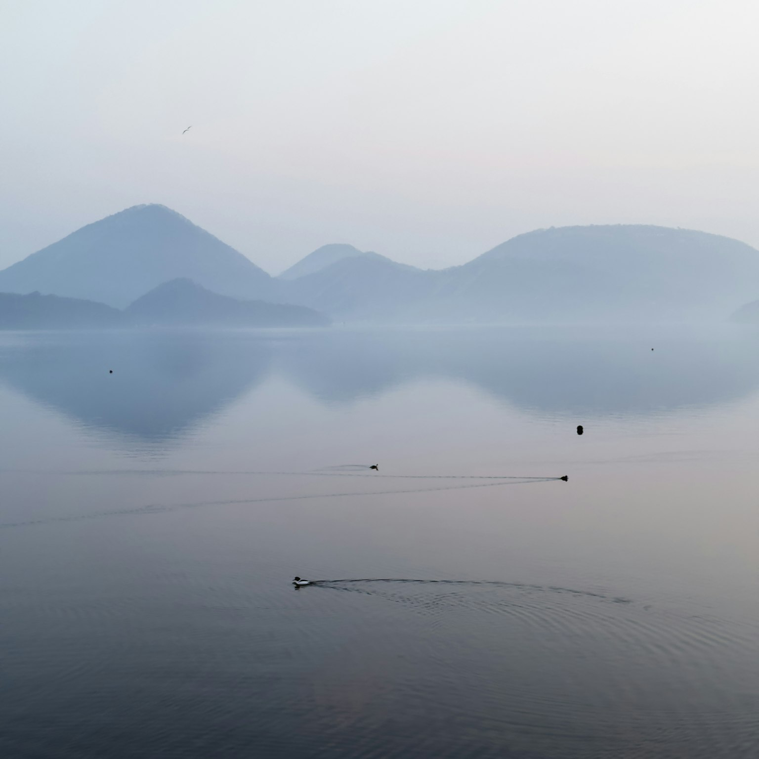 Lago sereno che riflette montagne e paesaggio nebbioso