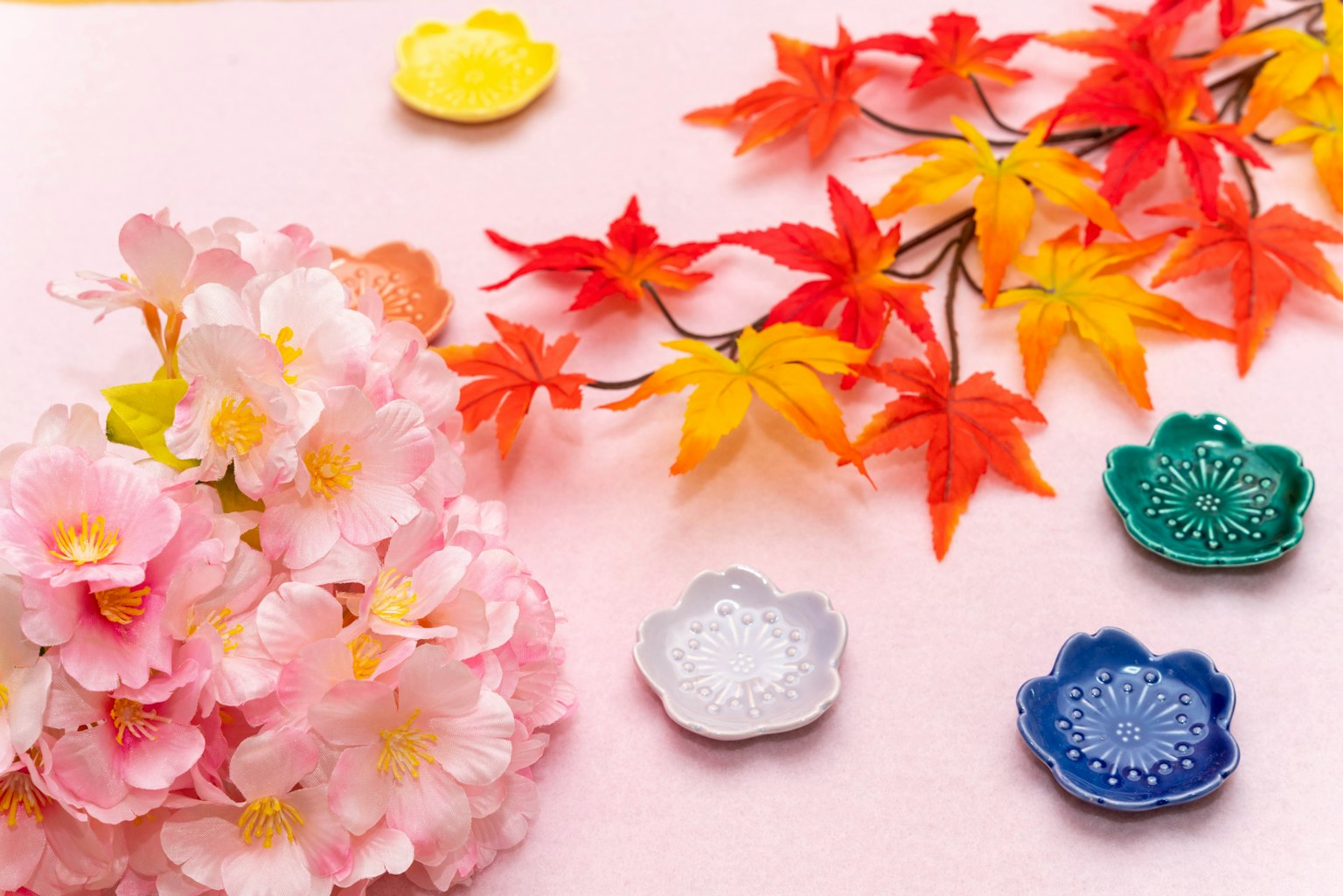 Anordnung von rosa Kirschblüten und herbstlichen Ahornblättern mit bunten kleinen Tellern auf einem rosa Hintergrund