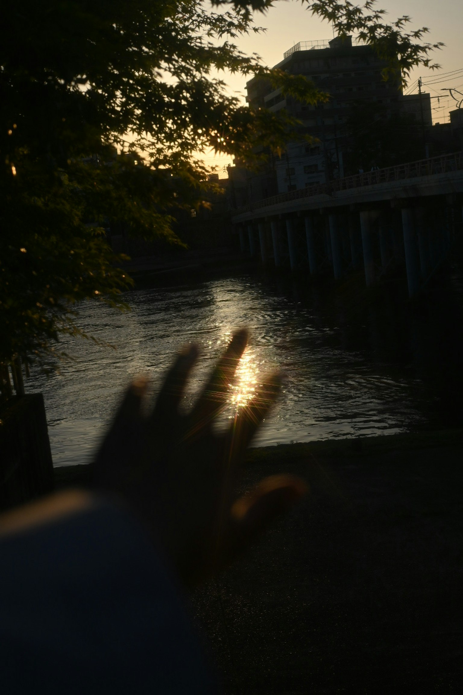 Bóng dáng bàn tay vươn tới mặt nước với hoàng hôn ở phía sau