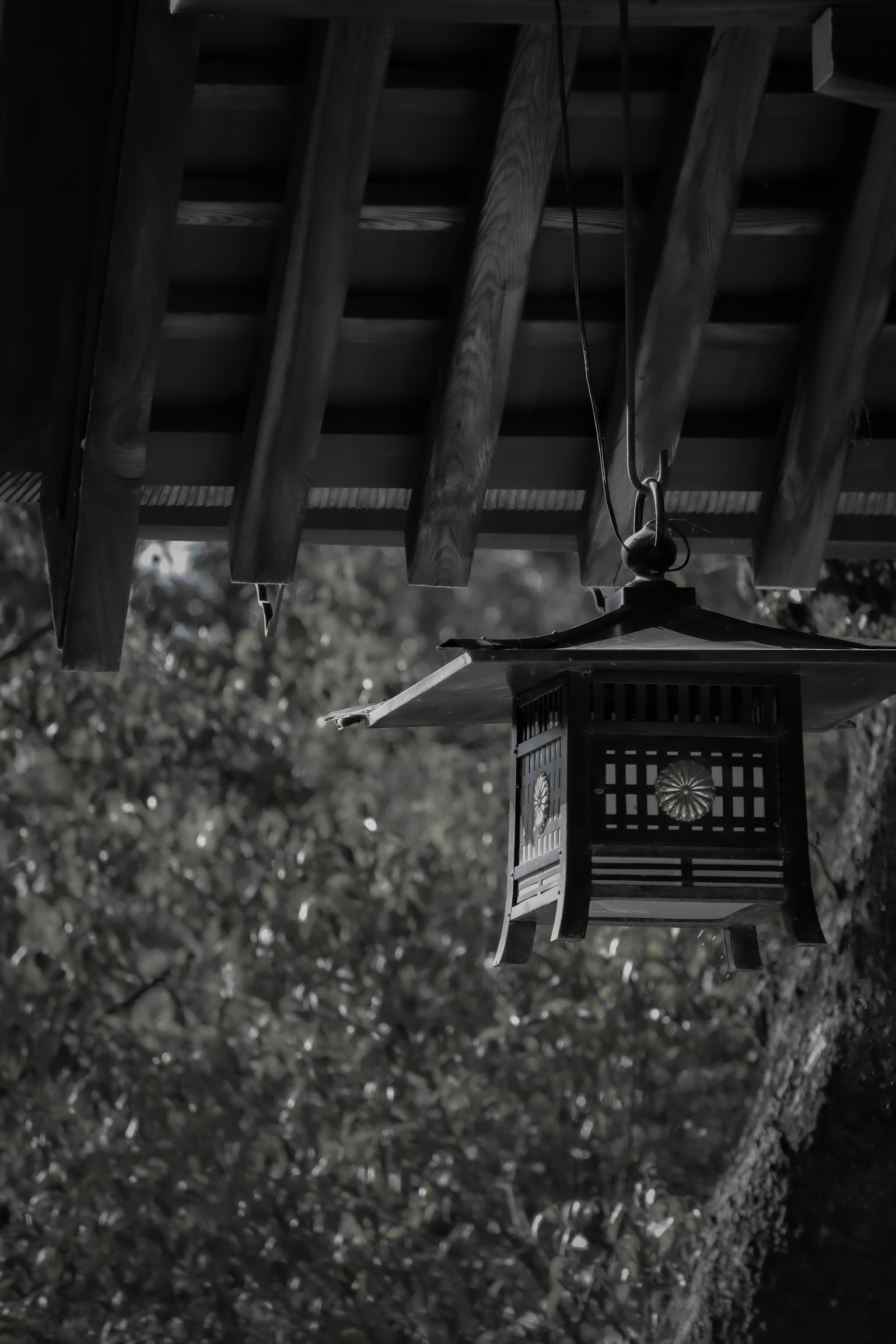 Lampu tradisional Jepang yang menggantung di latar belakang hijau kabur