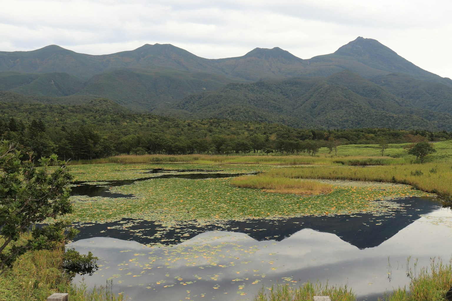Paysage pittoresque avec des montagnes et des feuilles de nénuphar sur une eau calme